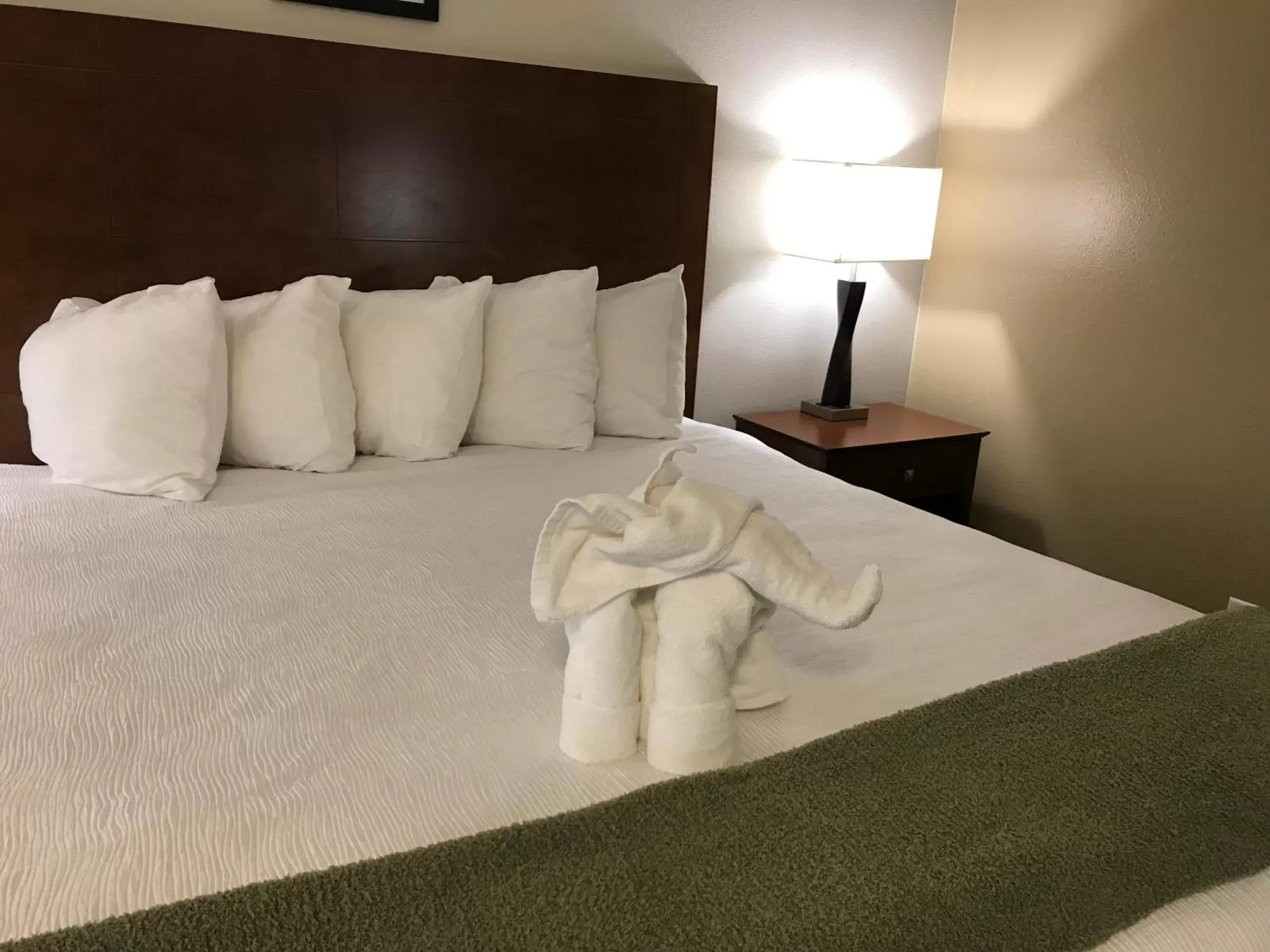 Bed in Dinosaur Inn & Suites