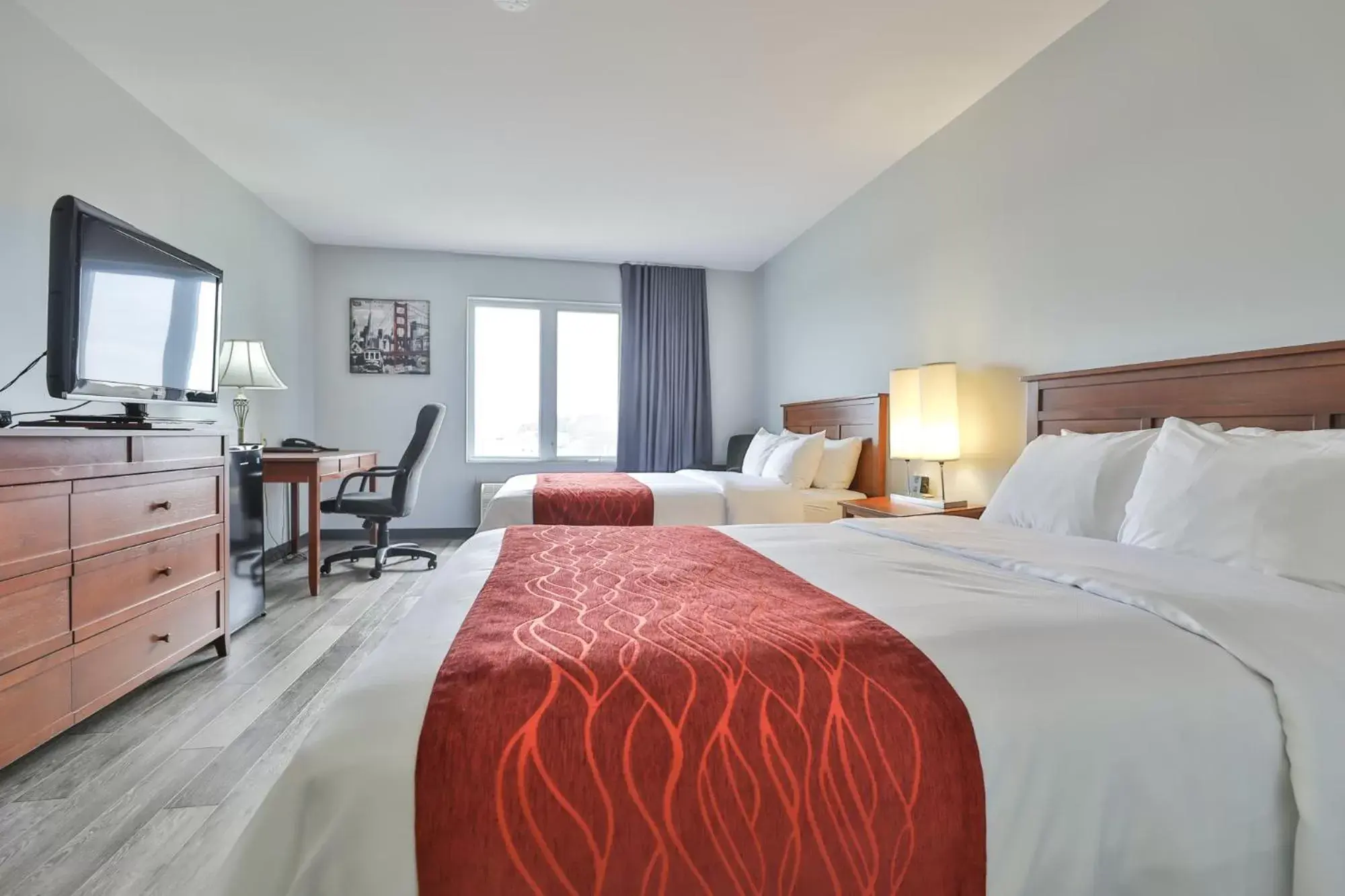 Photo of the whole room, Bed in Comfort Inn & Suites Photo of the whole room, Bed in Comfort Inn & Suites