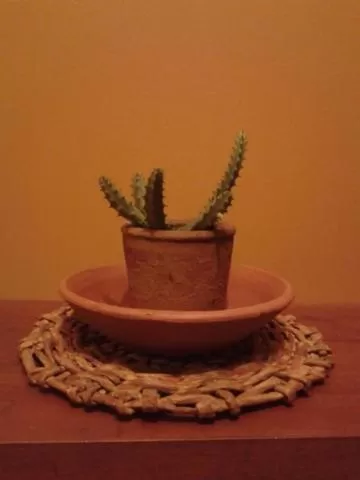 Decorative detail in Hospedaria Lua Raio de Sol