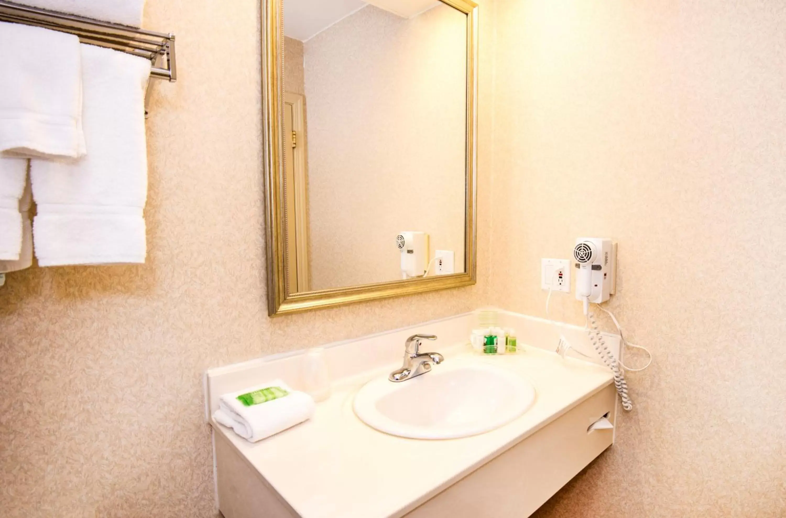 Bathroom in Holiday Inn Hinton, an IHG Hotel