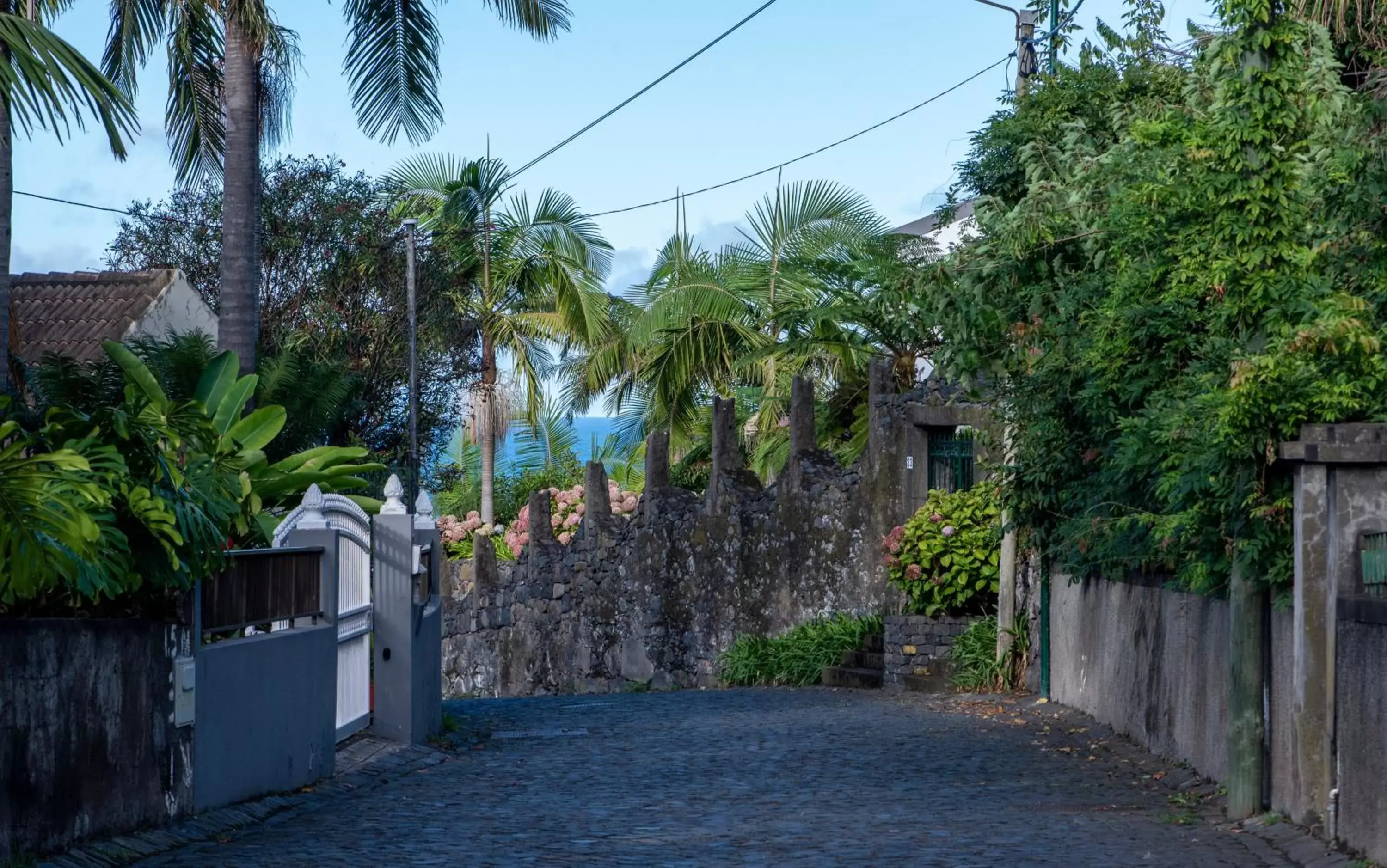 Hiking in Monte Mar Palace Hotel