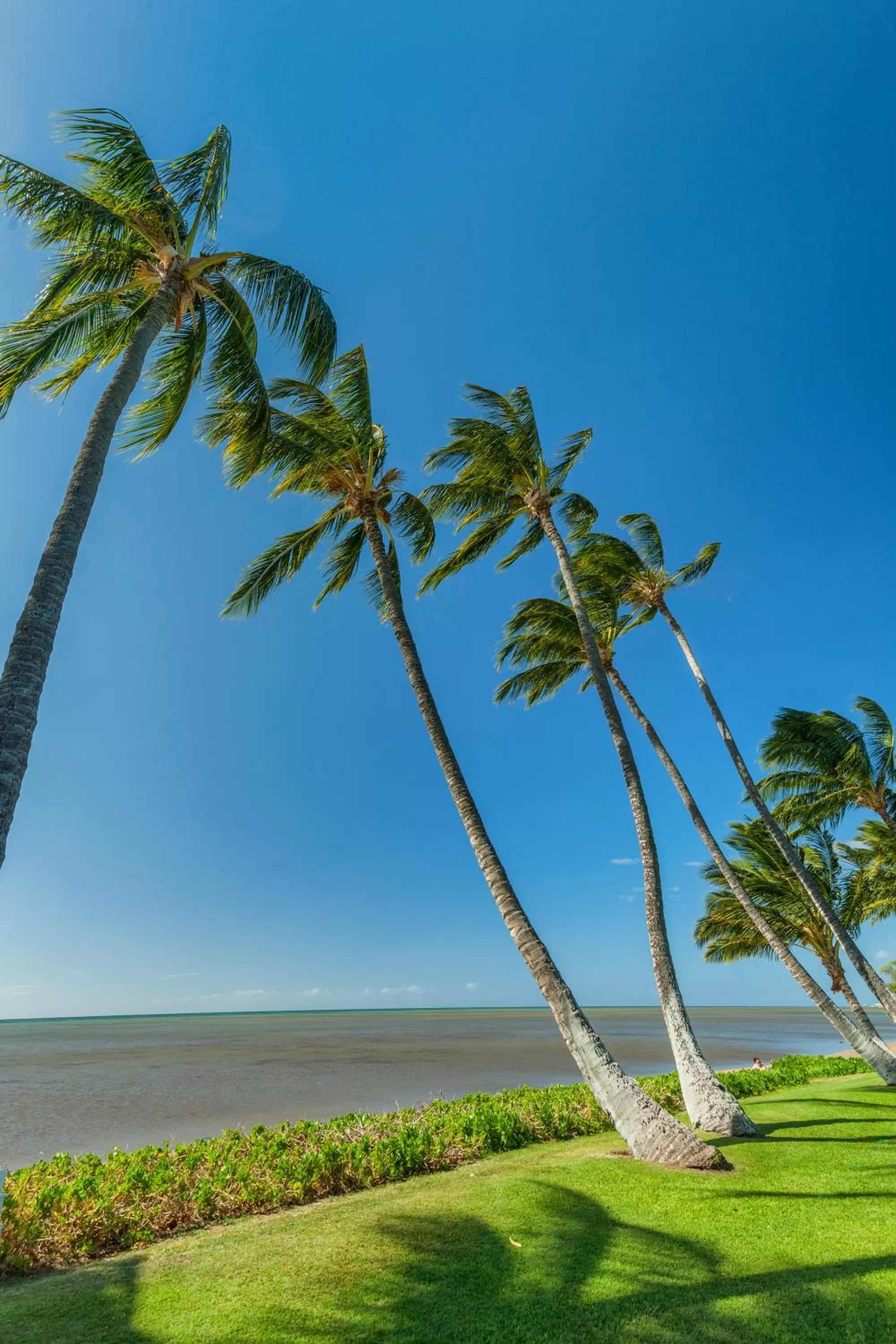 Beach in Castle at Moloka'i Shores