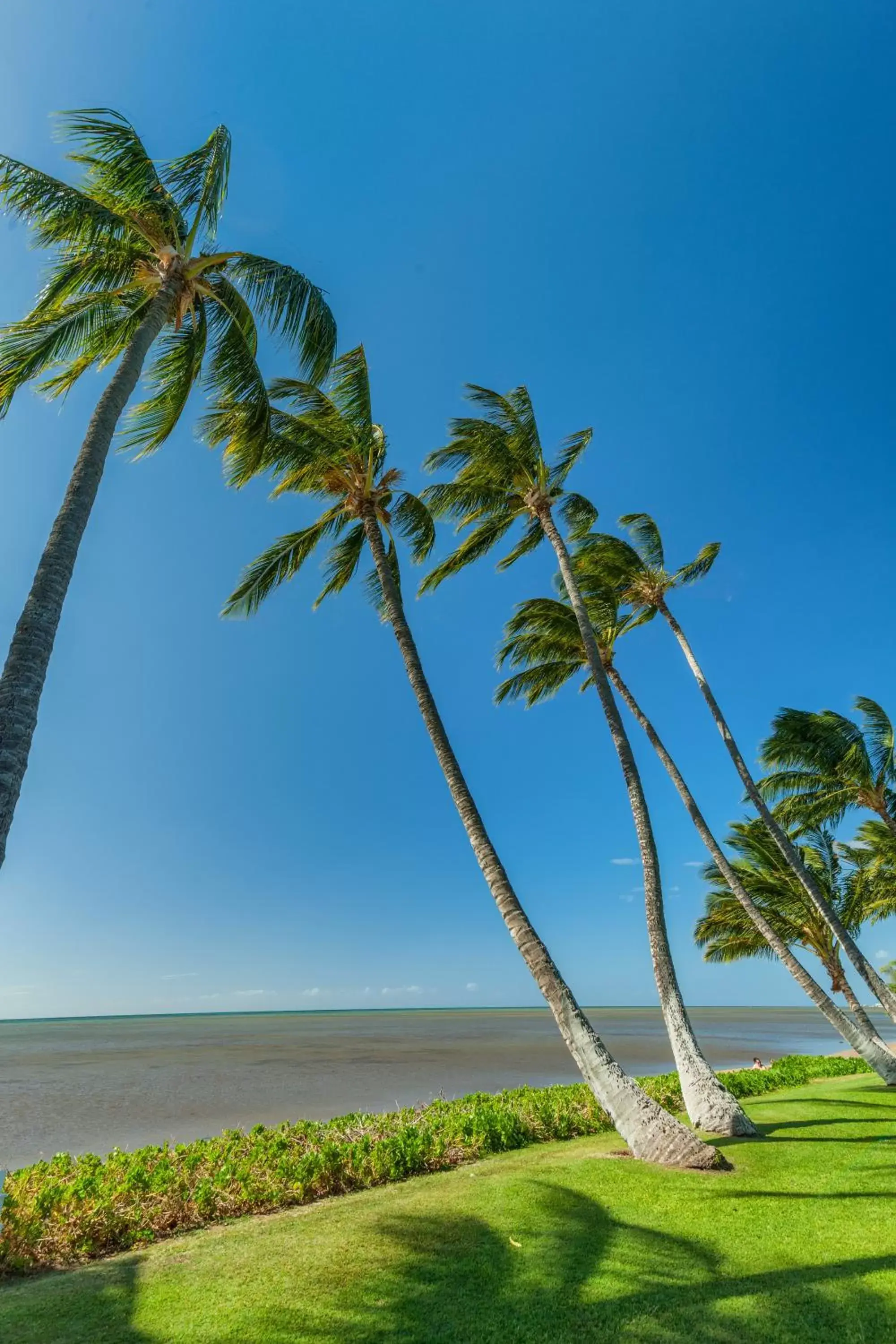 Beach, Garden in Castle Molokai Shores