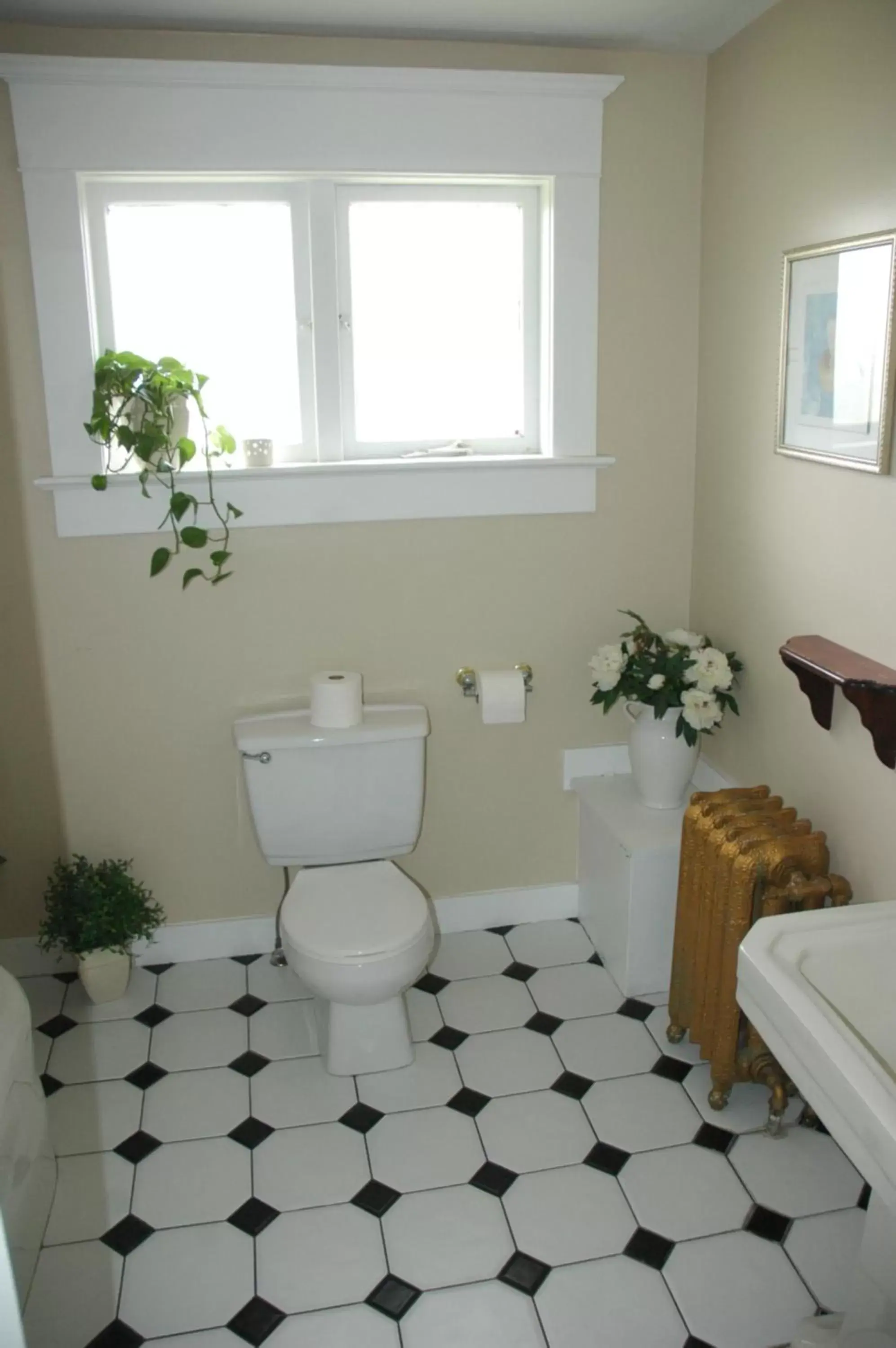 Toilet, Bathroom in Windsor Guest House