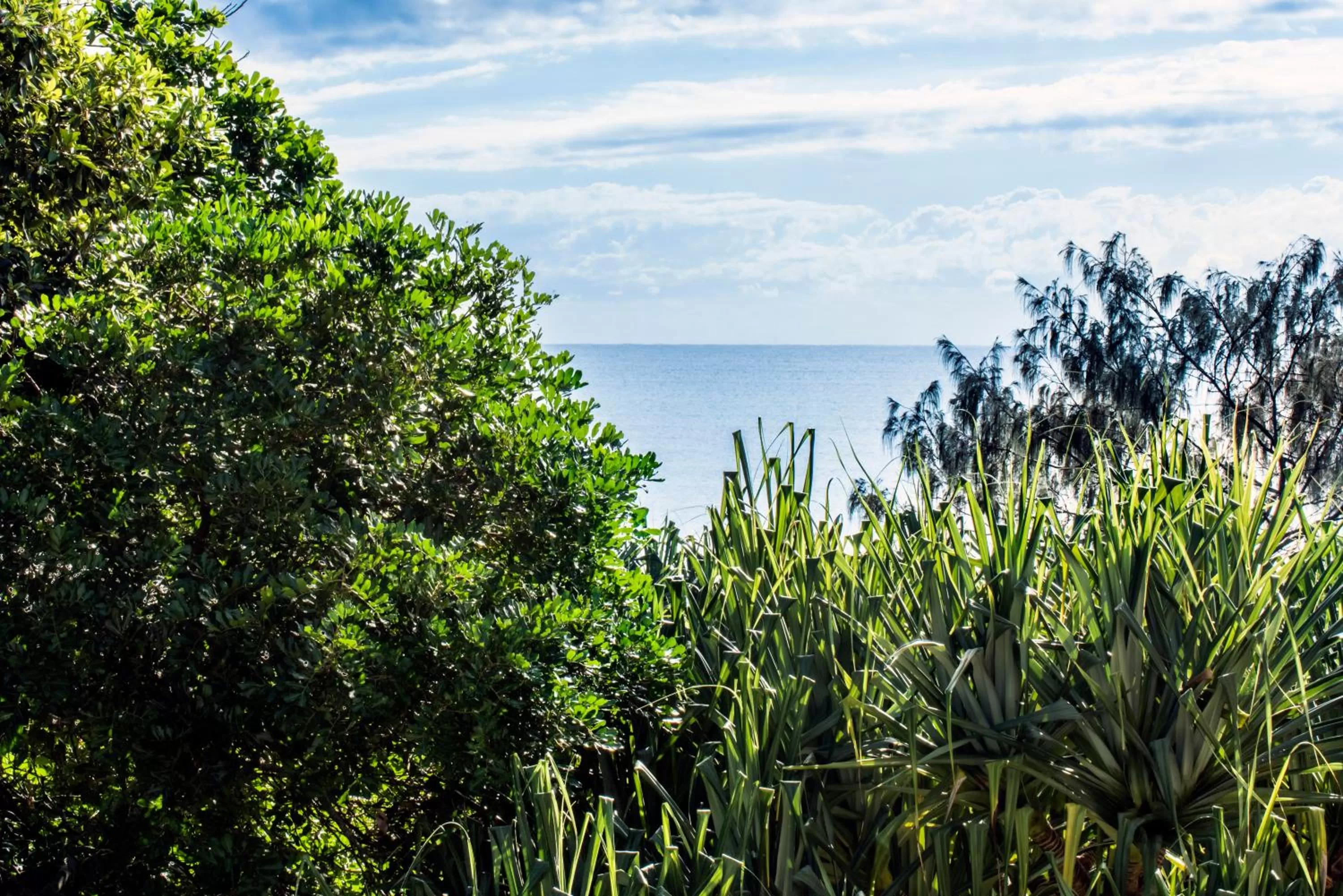 Sea view in SandCastles Noosa