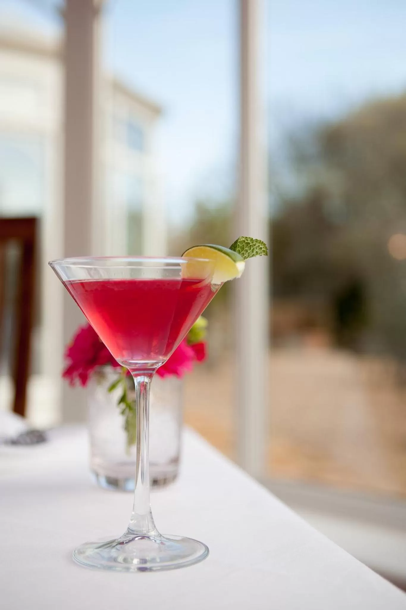 Day, Drinks in The Bannatyne Spa Hotel