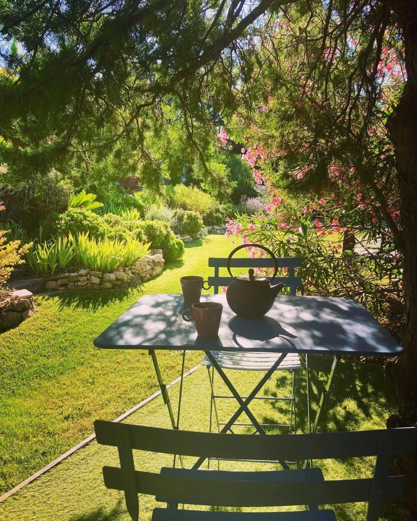 Garden in Mas des Marguerites