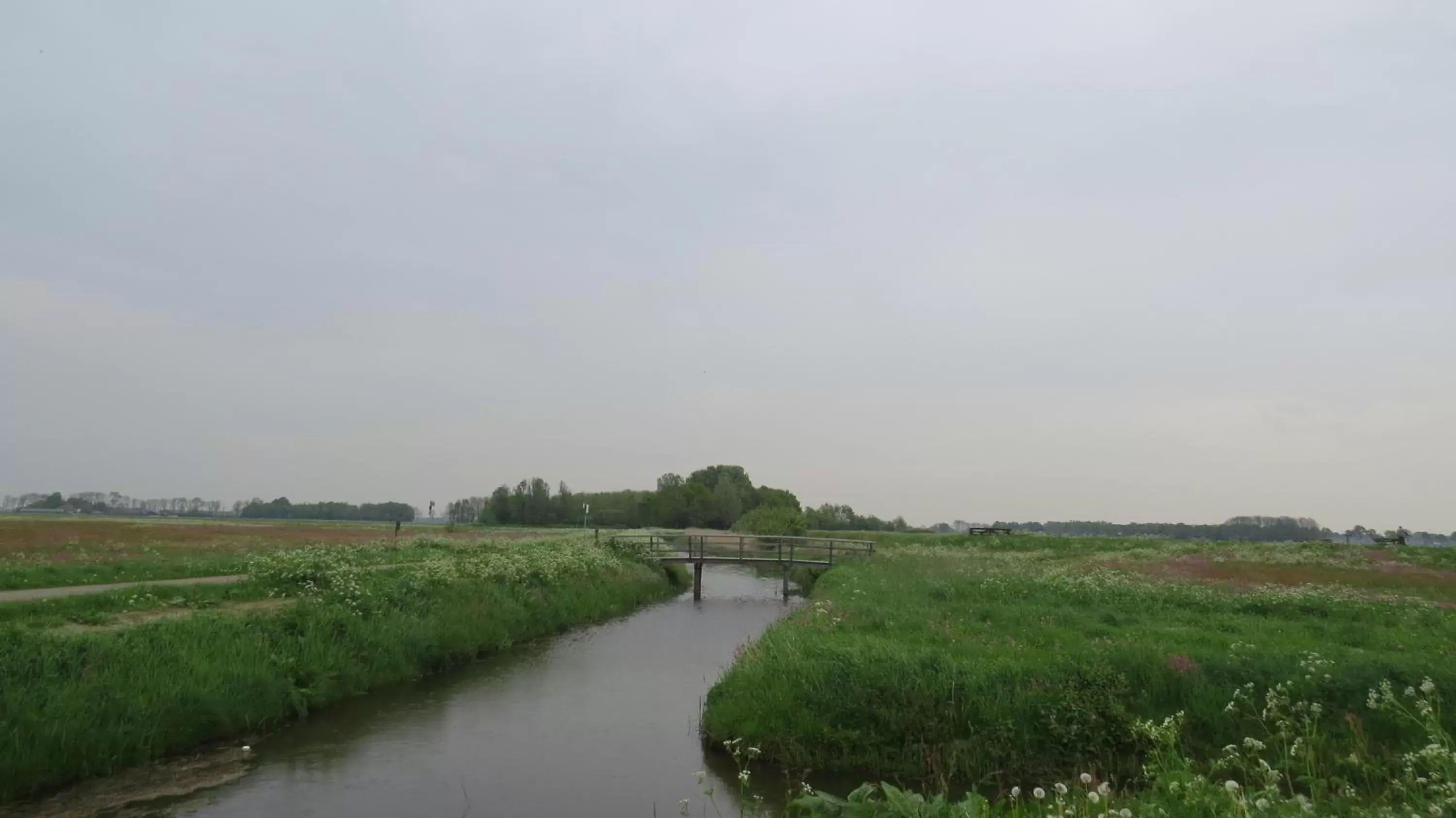 Natural landscape in 't Zwanemeer