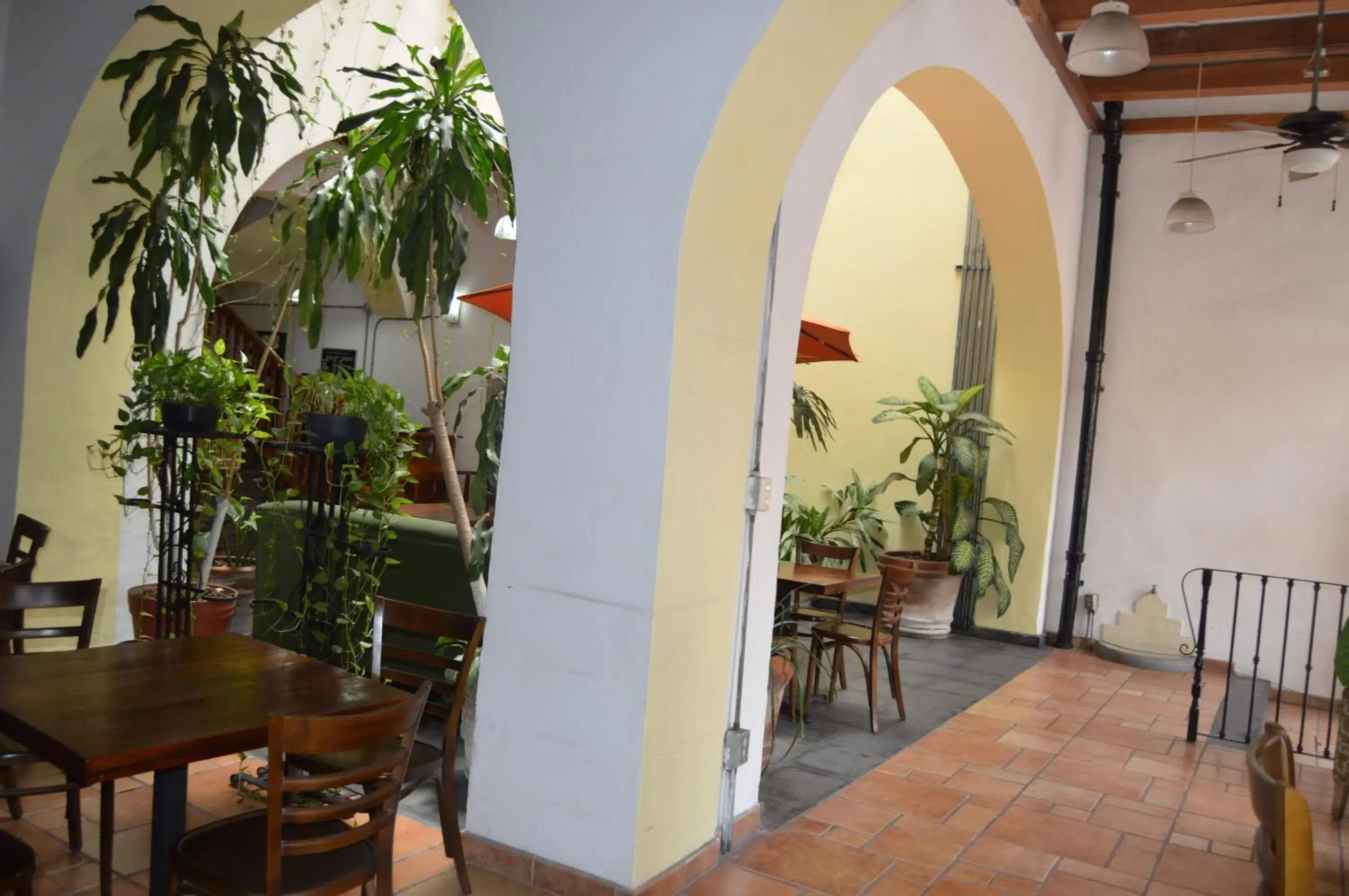 Restaurant/places to eat in Hotel Meson del Mar