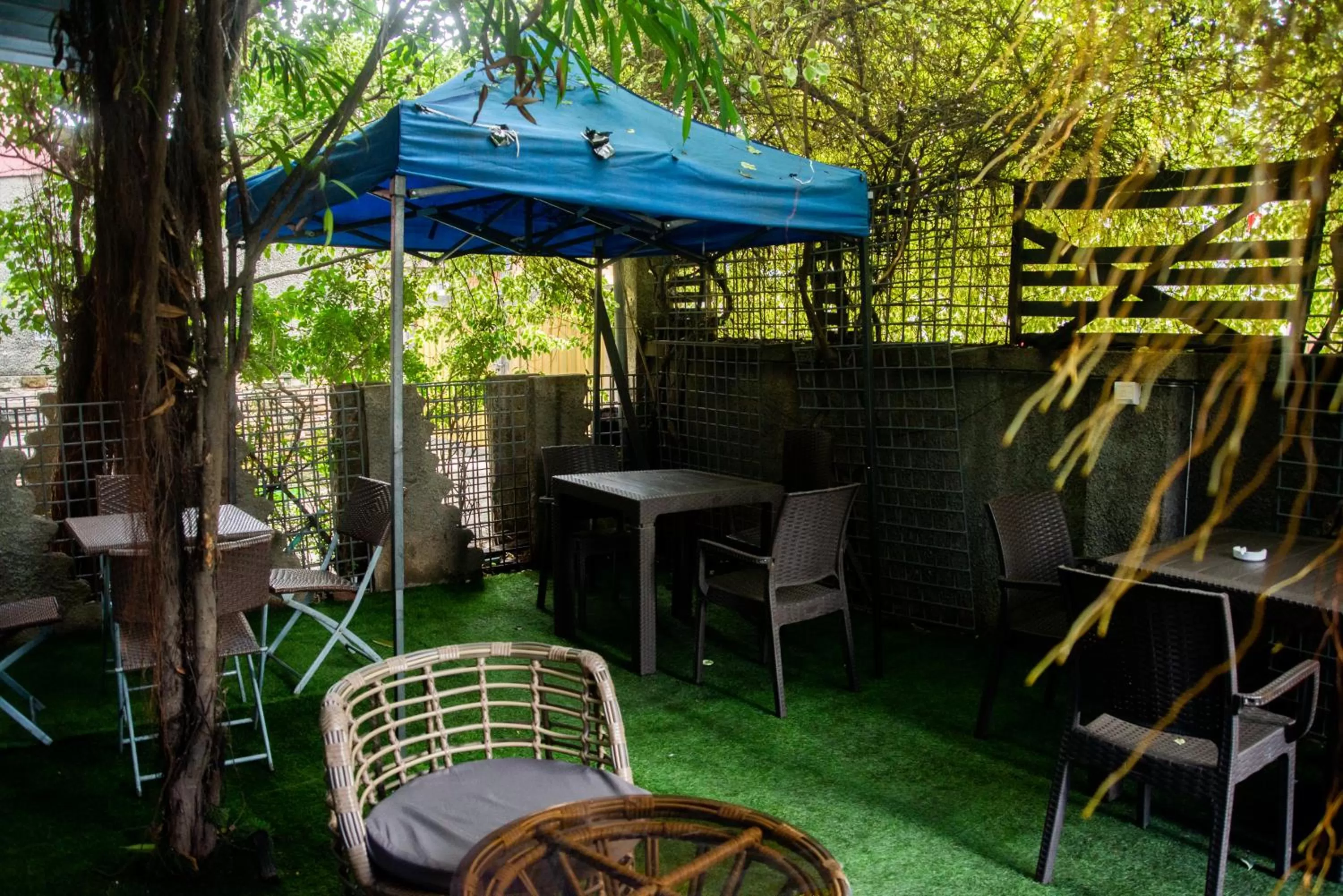 Garden in Sese Cottage