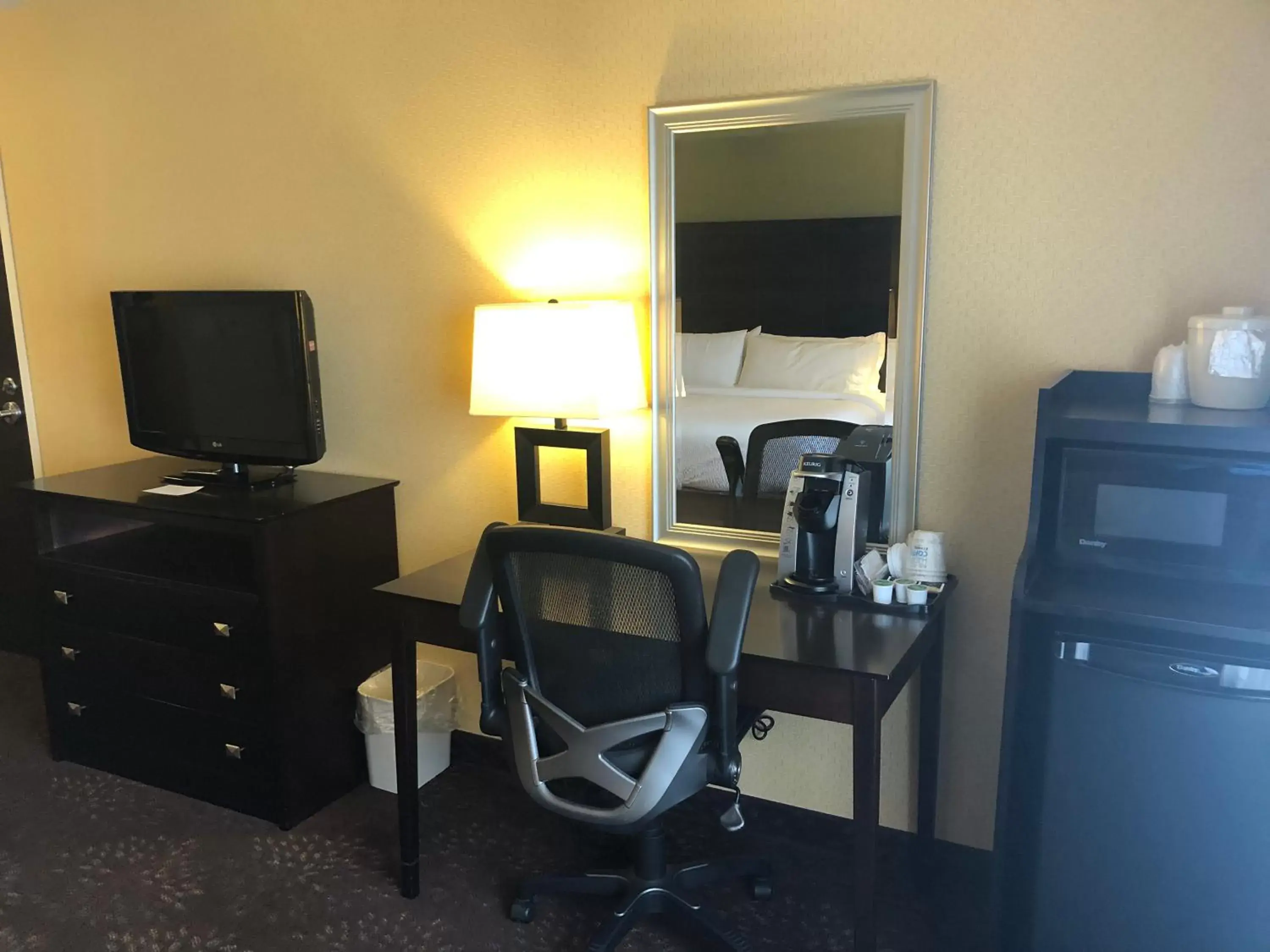 TV and multimedia, TV/Entertainment Center in Holiday Inn Express Hotel & Suites Lansing-Dimondale, an IHG Hotel