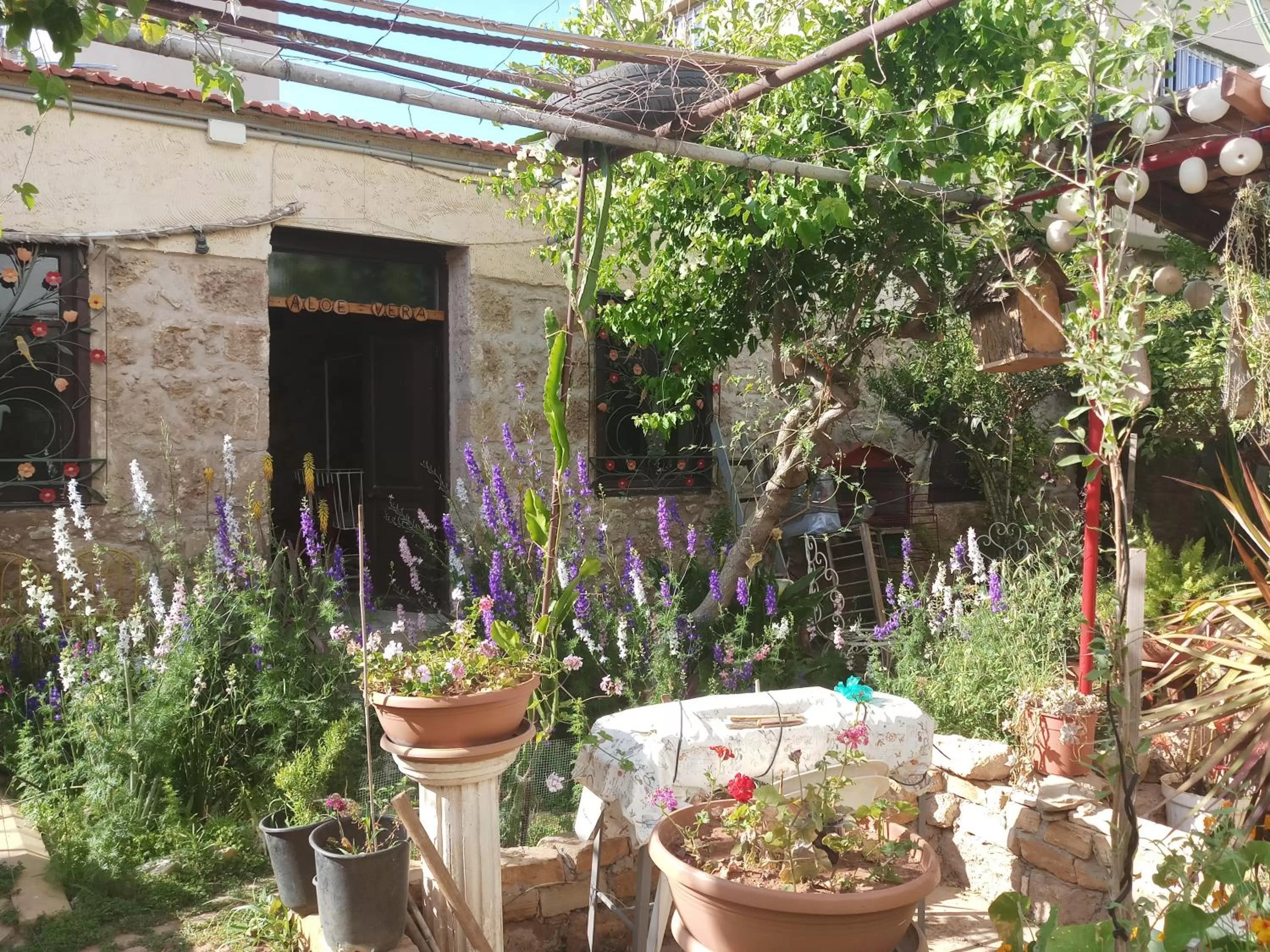 Breakfast in Mystery Garden Guest House