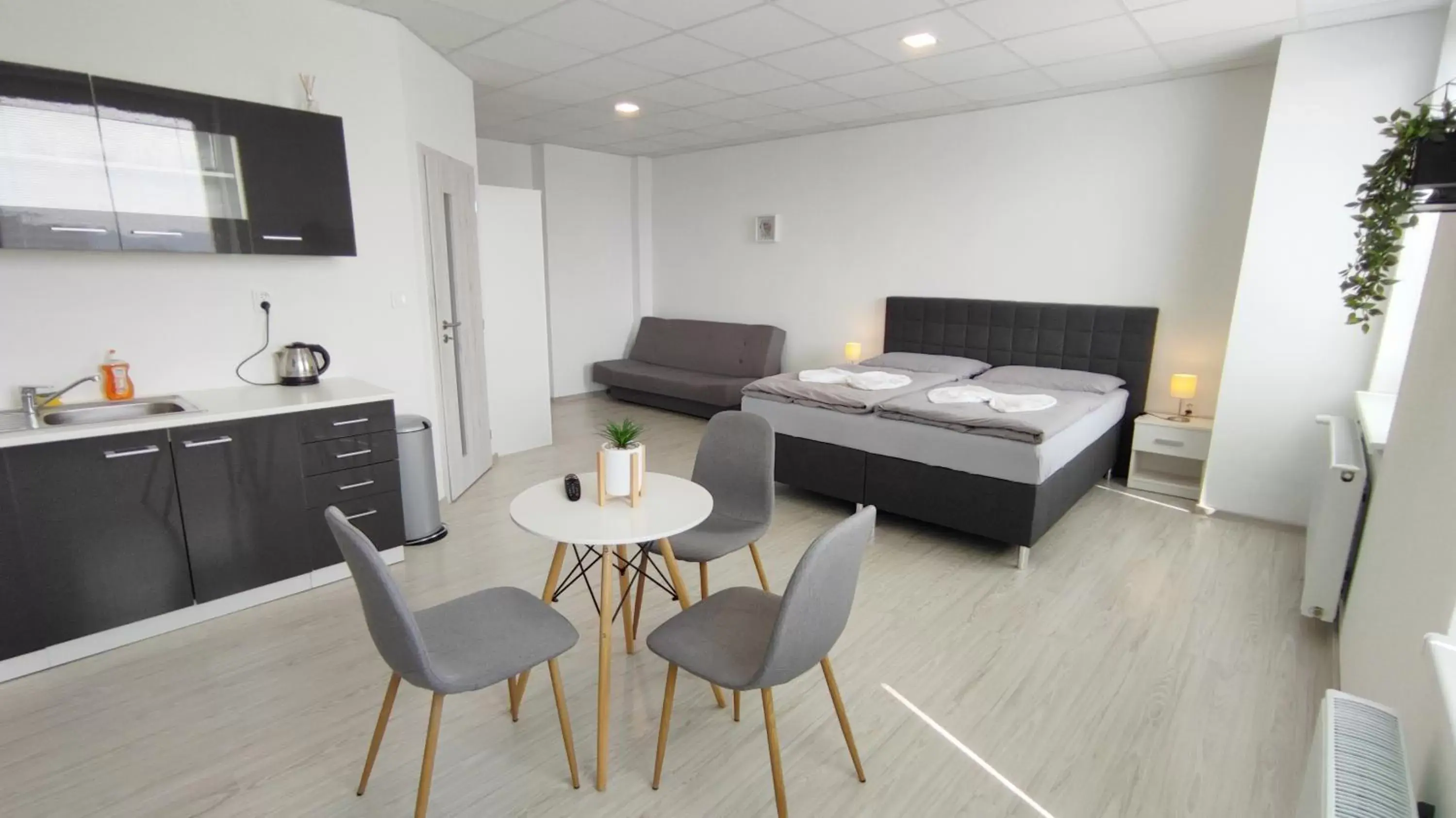 Deluxe Apartment - single occupancy in Hotel Slobi Deluxe Apartment - single occupancy in Hotel Slobi