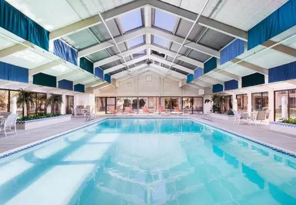 Swimming Pool in The Querque Hotel
