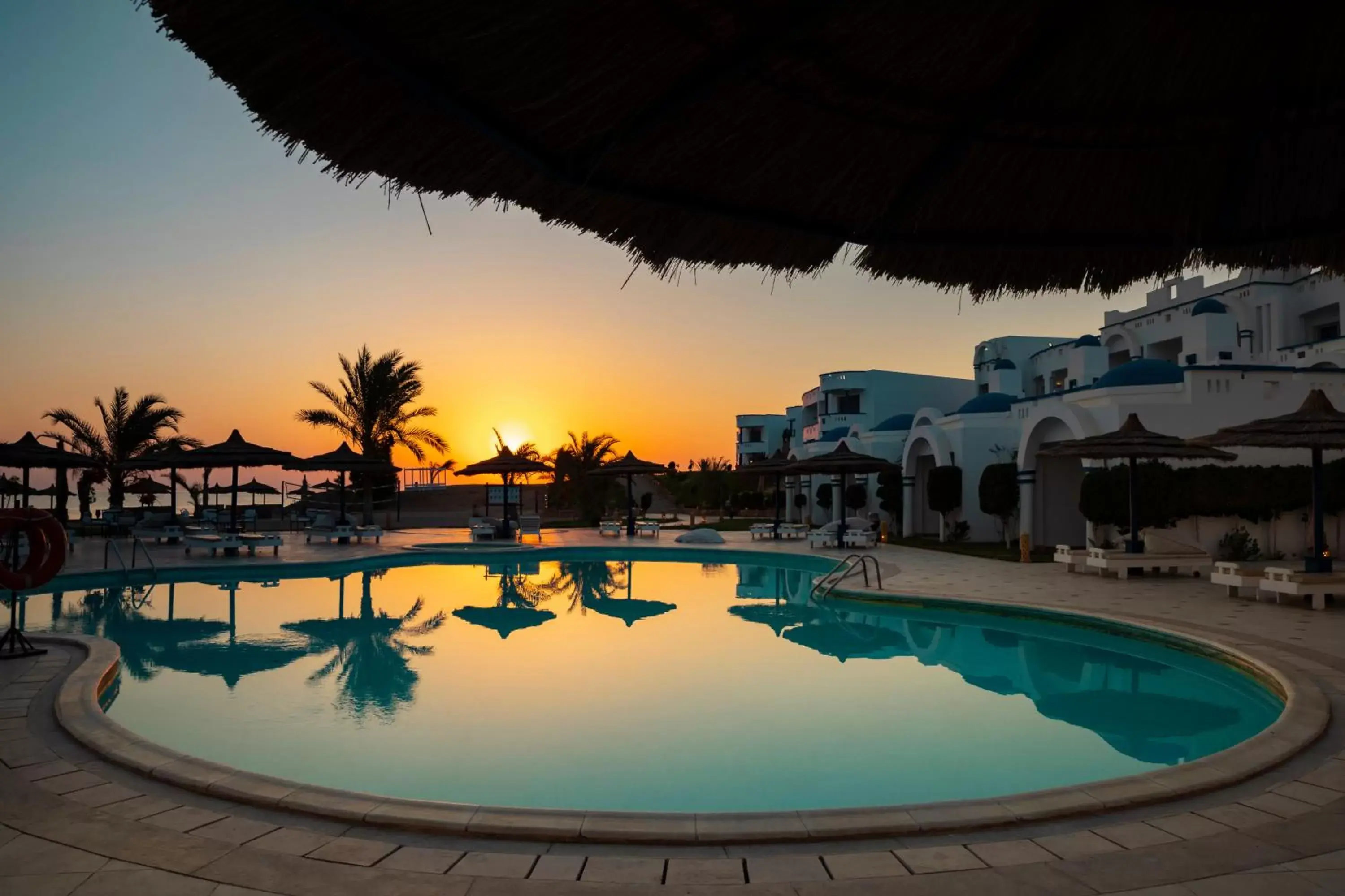 Swimming Pool in Coral Sun Beach