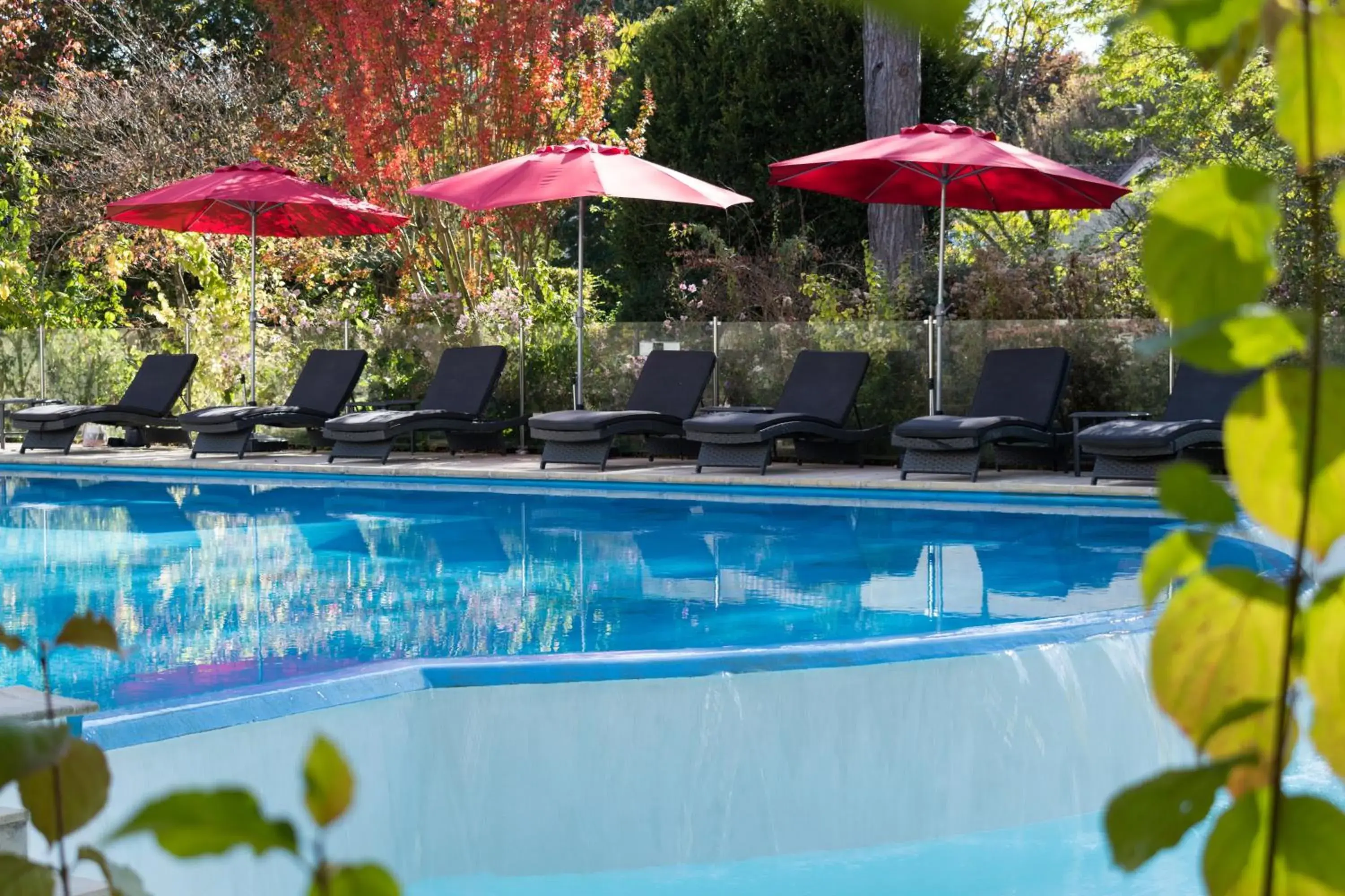 Swimming Pool in Logis Les Loges du Parc