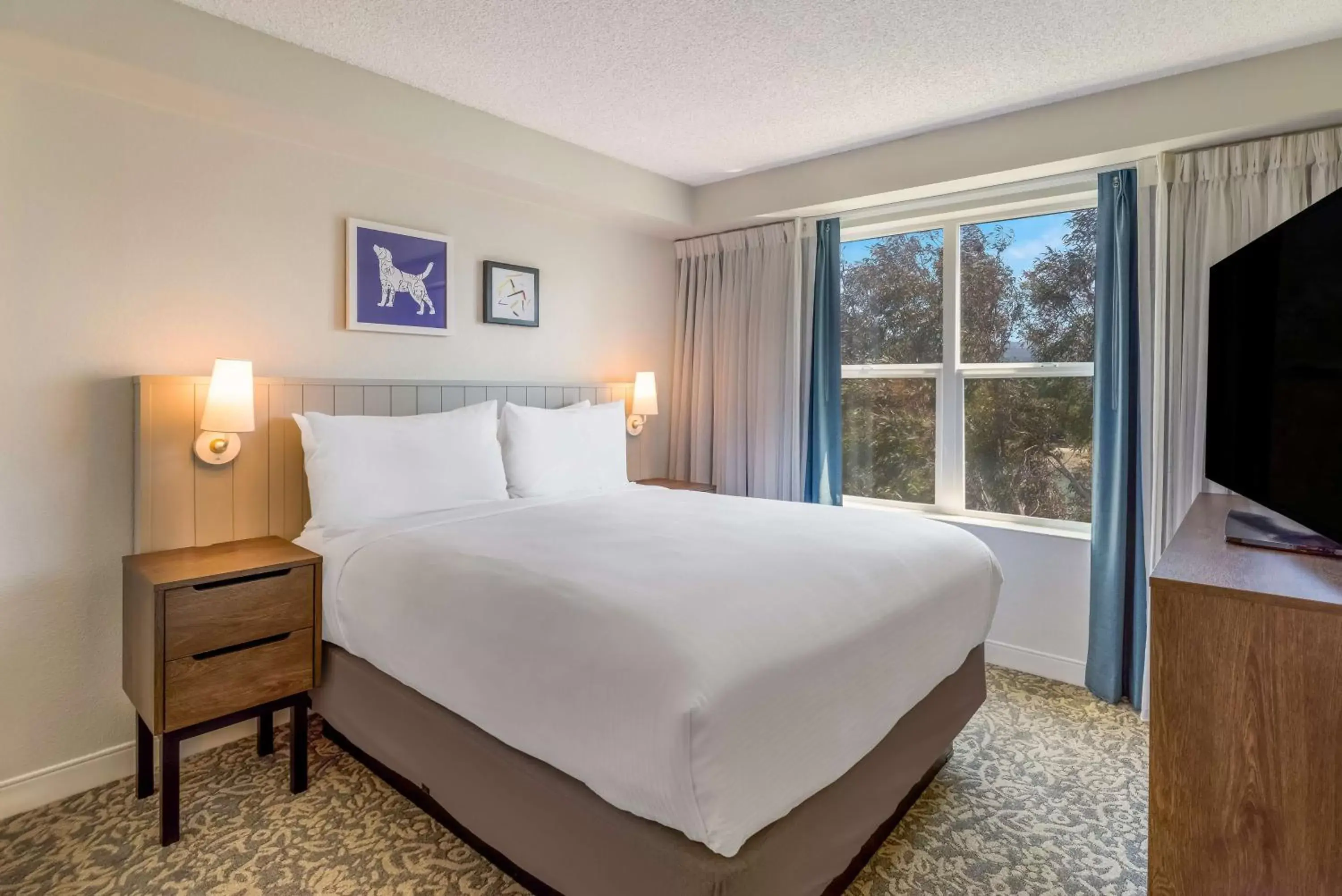 Photo of the whole room, Bed in Sonesta ES Suites San Francisco Airport Oyster Point Waterfront