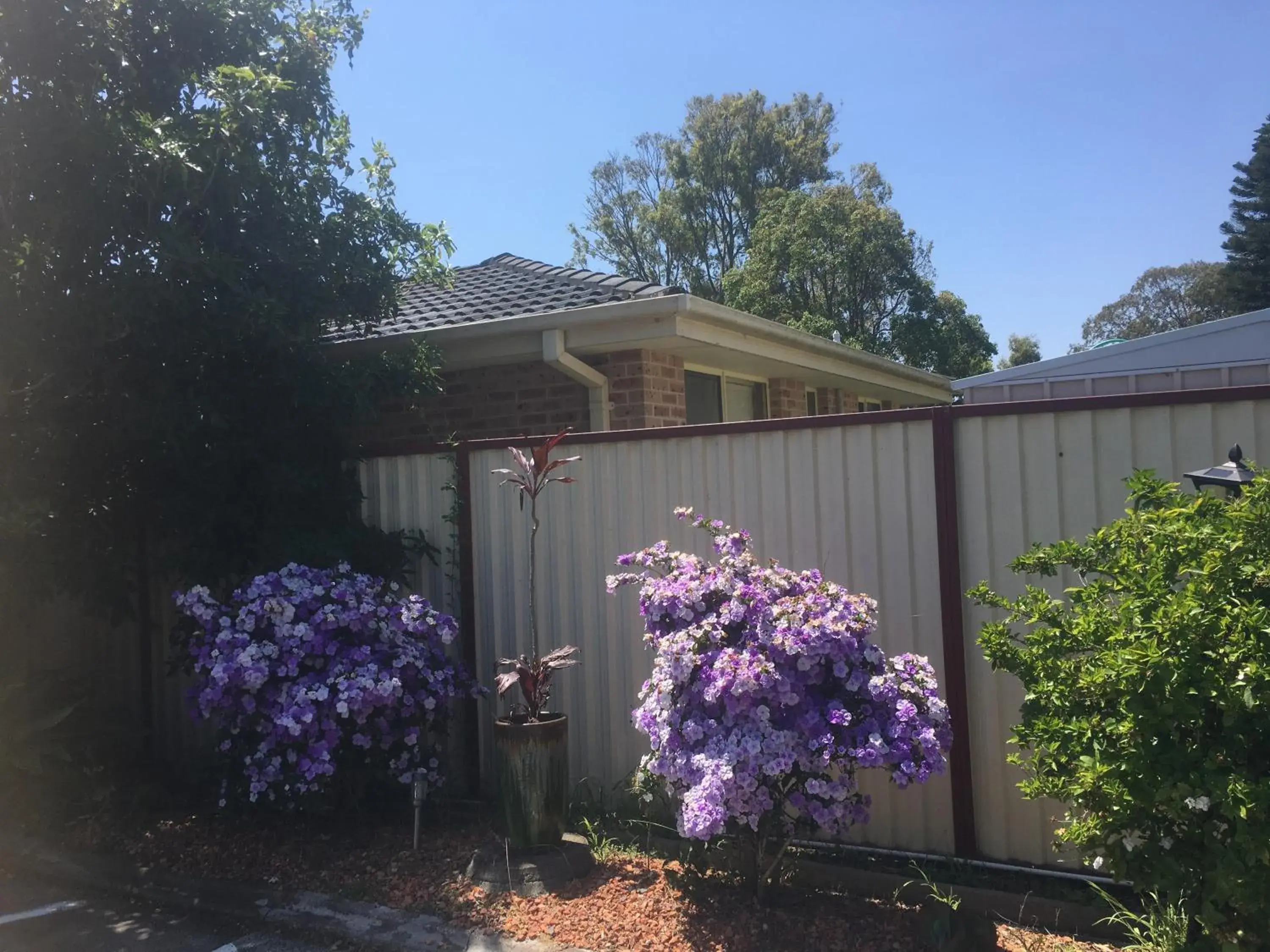 Property Building in Bridge View Motel