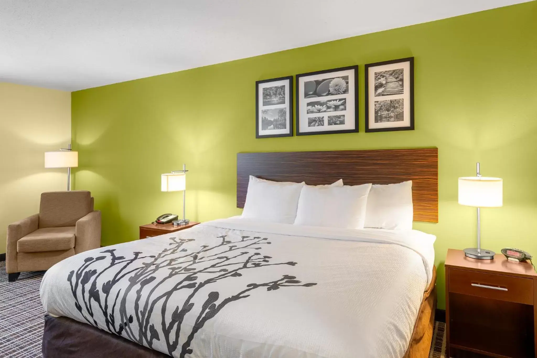 King Room - Accessible/Non-Smoking in Sleep Inn & Suites Harbour Pointe Midlothian