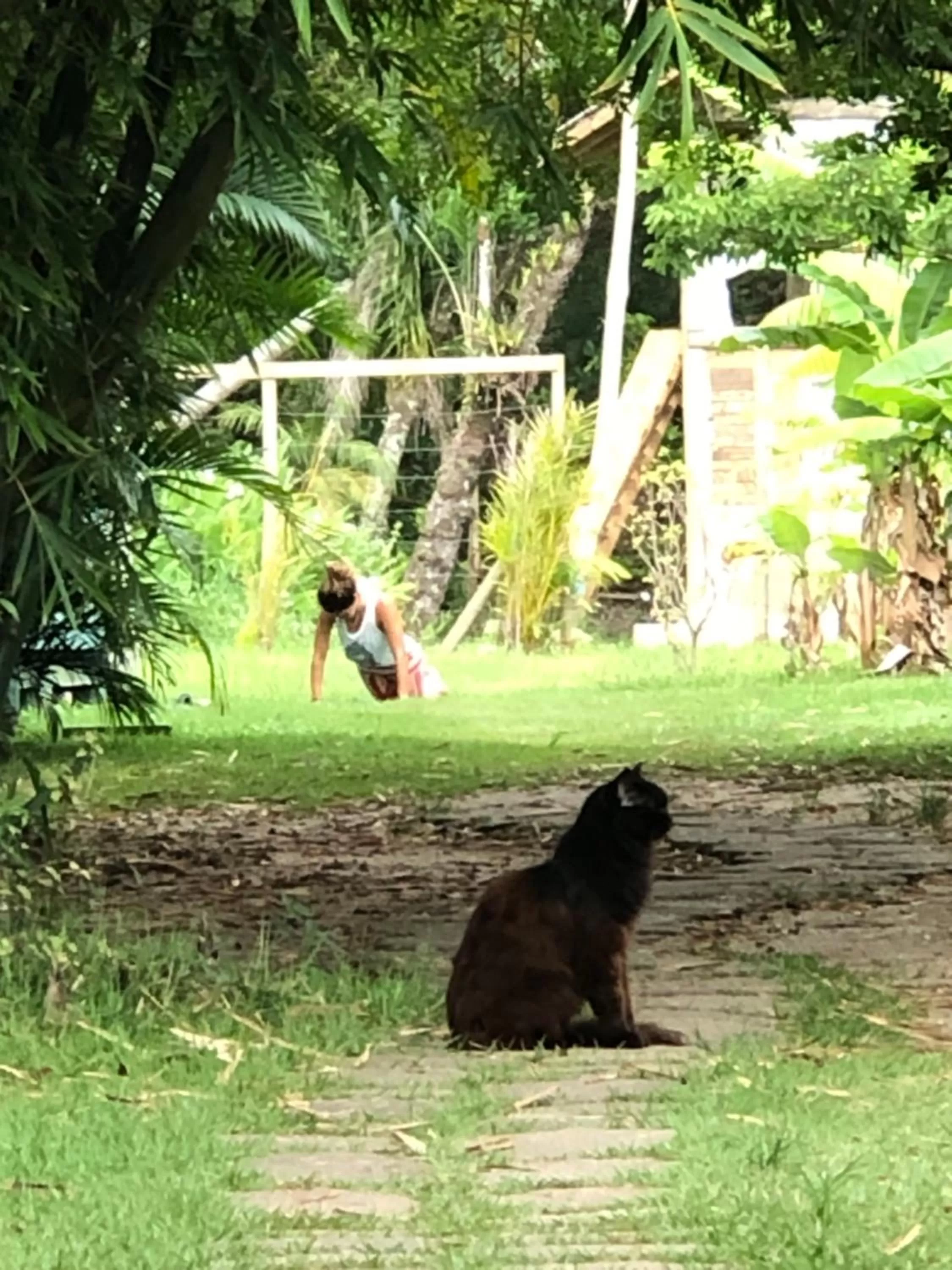 Pets in Mandala Camping Pousada