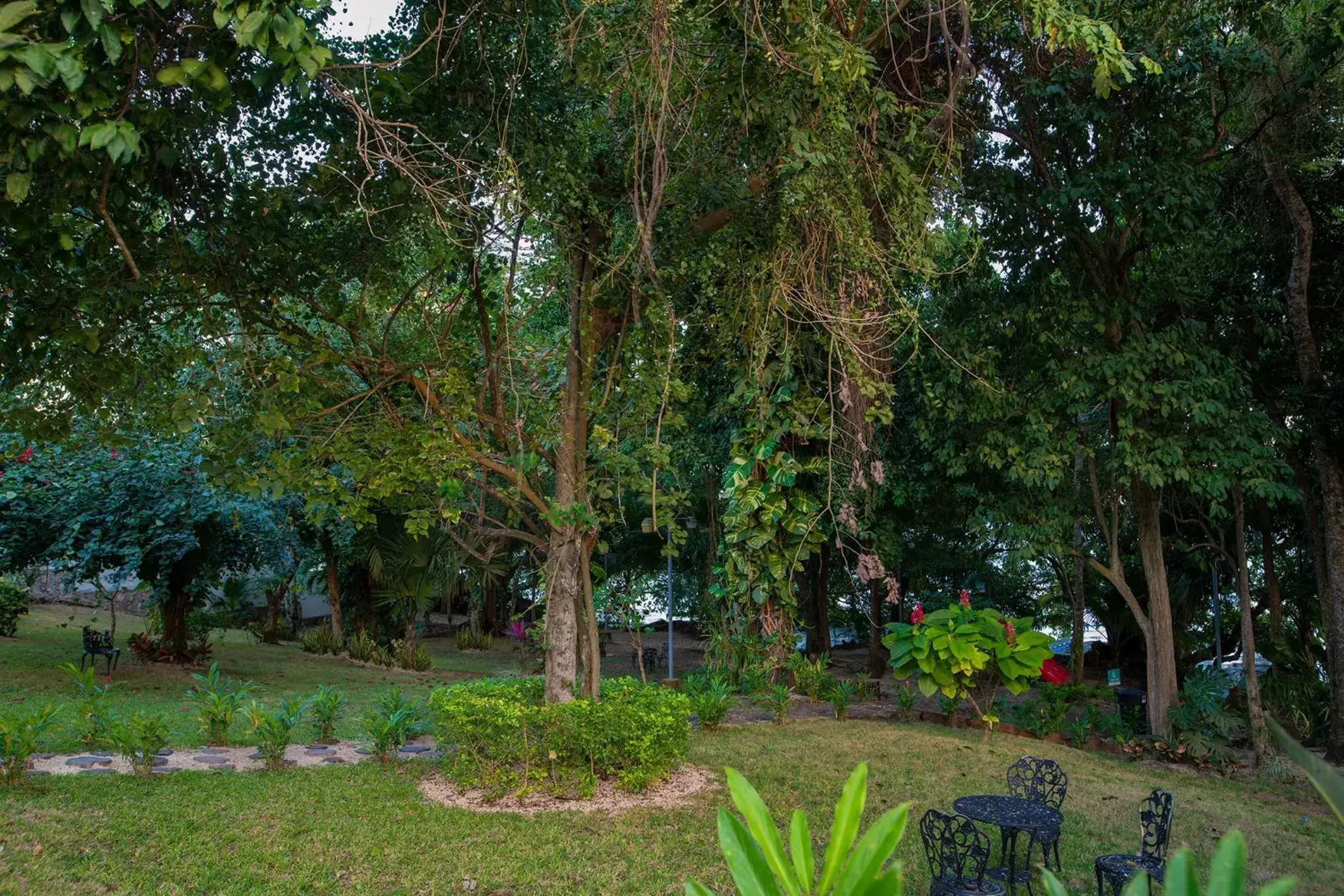 Day, Garden in Casa Aakal Lagoon Front