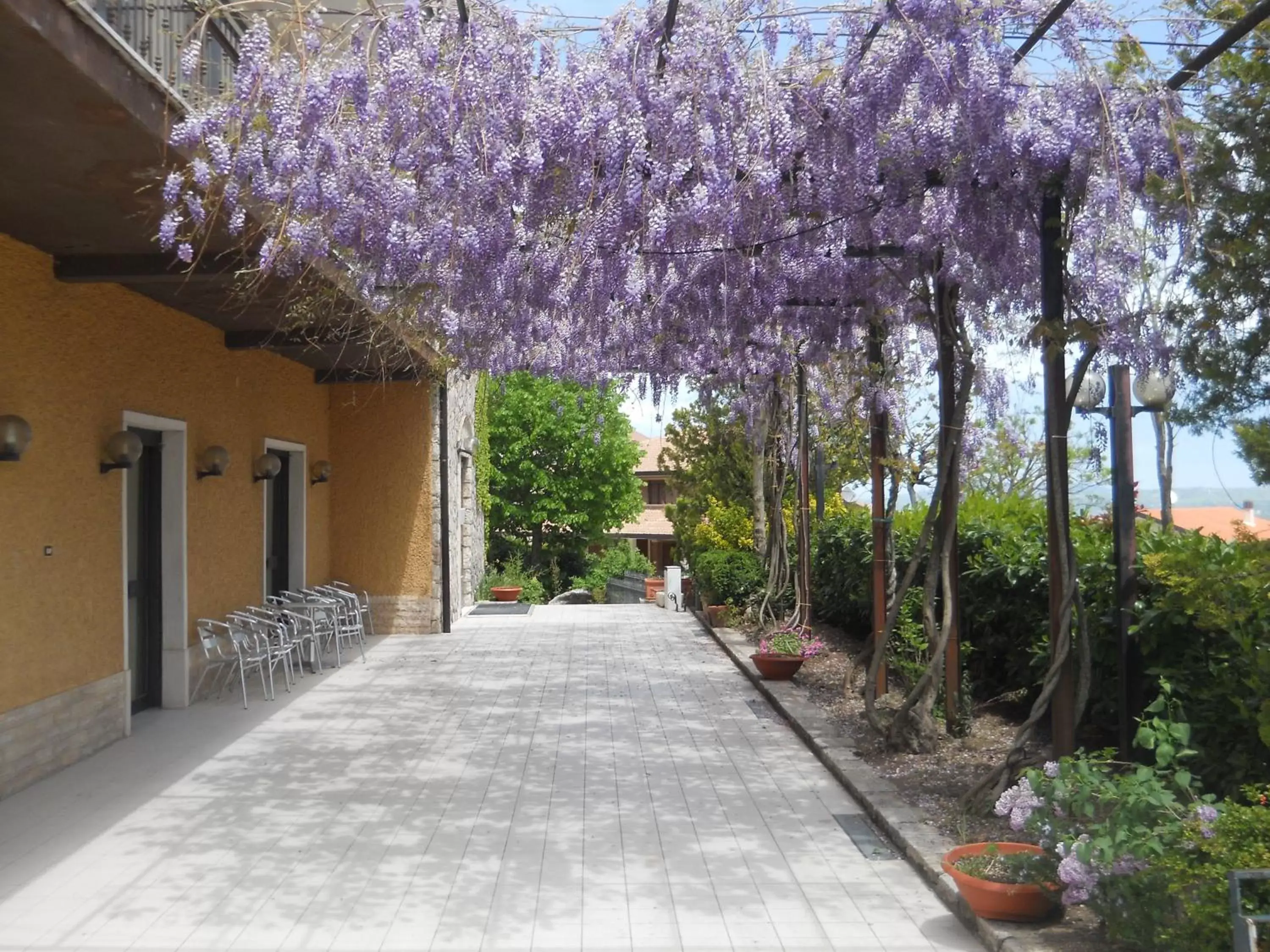 Balcony/Terrace in Hotel Colucci