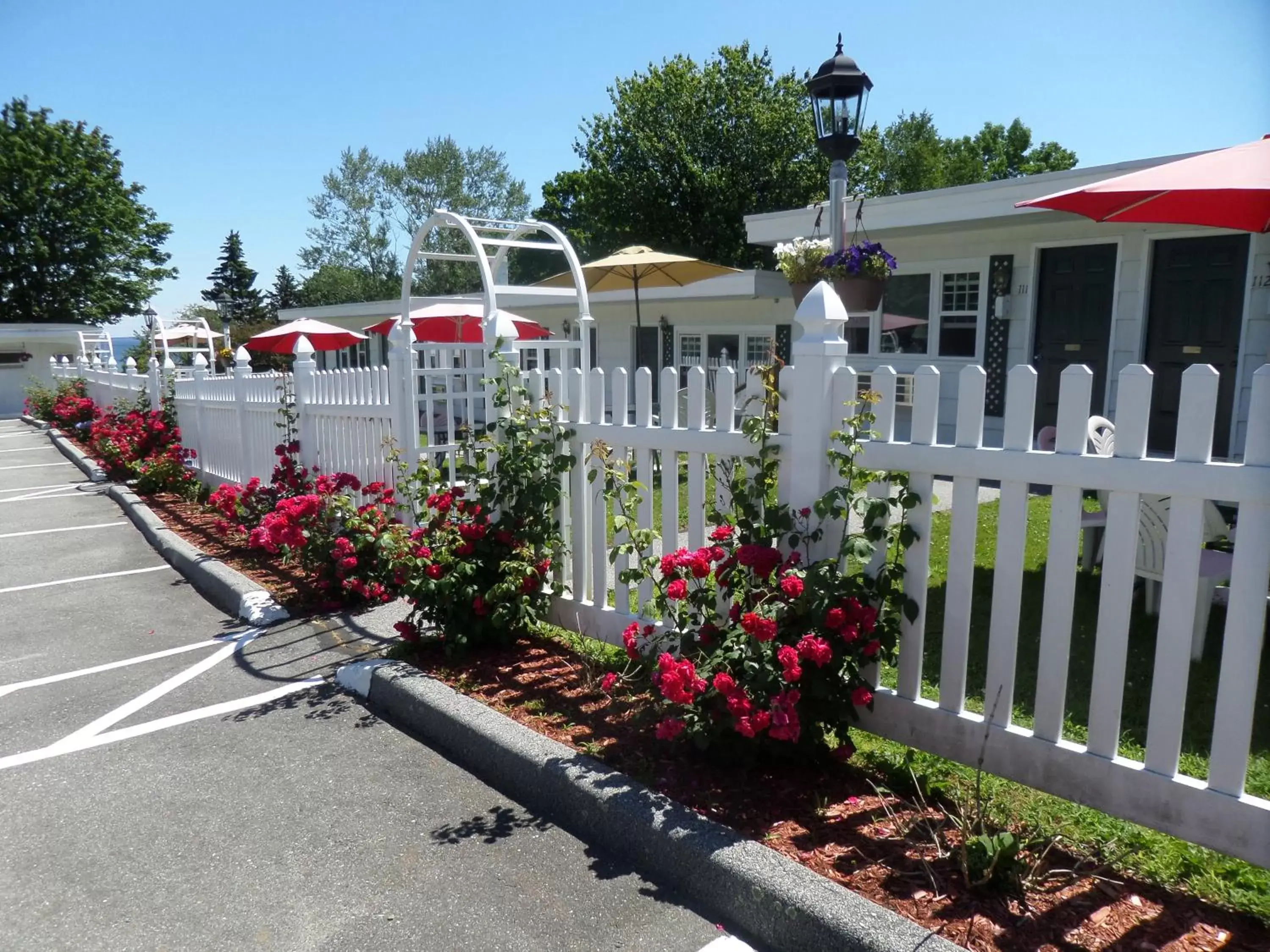 Garden in Claddagh Motel & Suites