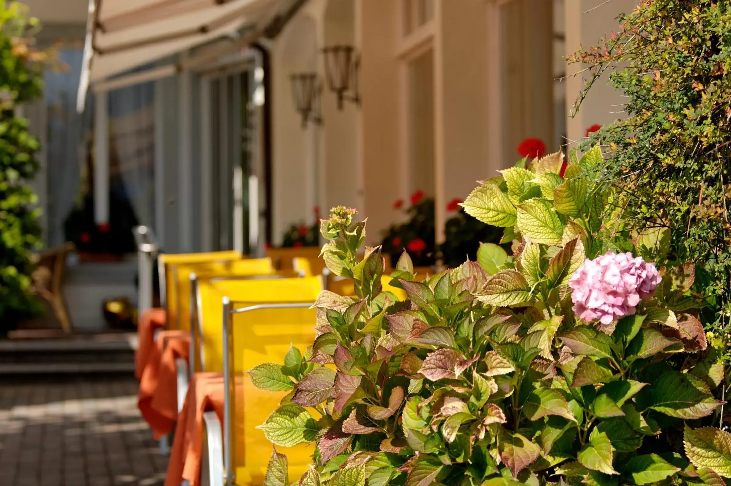 Restaurant/places to eat in Hotel Beausite Restaurant/places to eat in Hotel Beausite