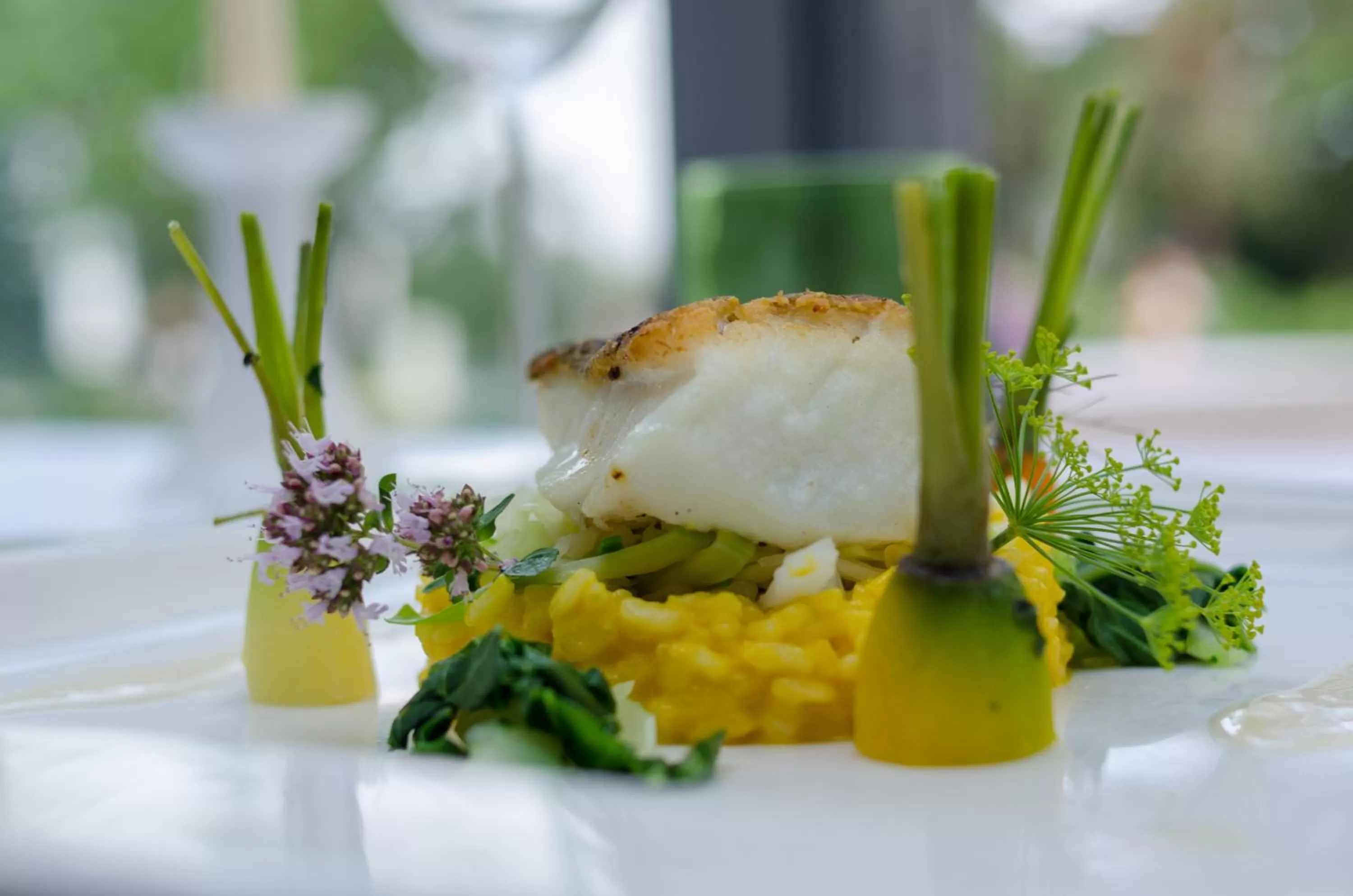 Food in Strandhotel Heringsdorf mit Soleaußenpool 30 Grad