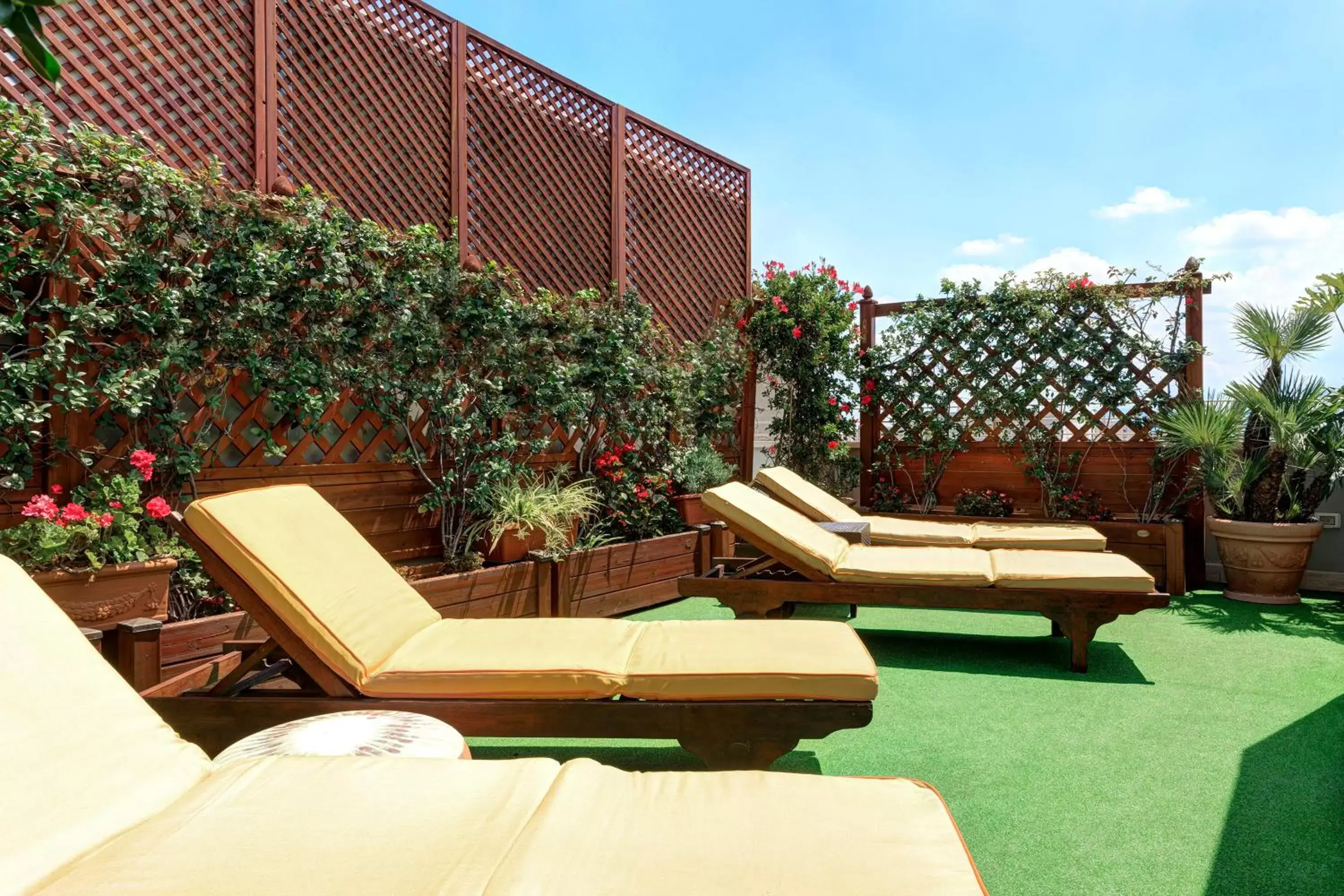 Area and facilities in Marcella Royal Hotel - Rooftop Garden