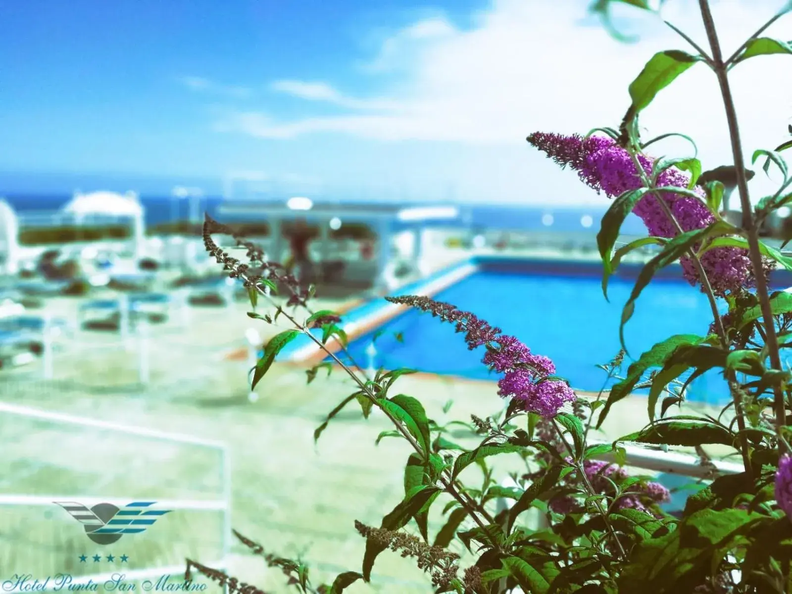 Swimming Pool in Punta San Martino