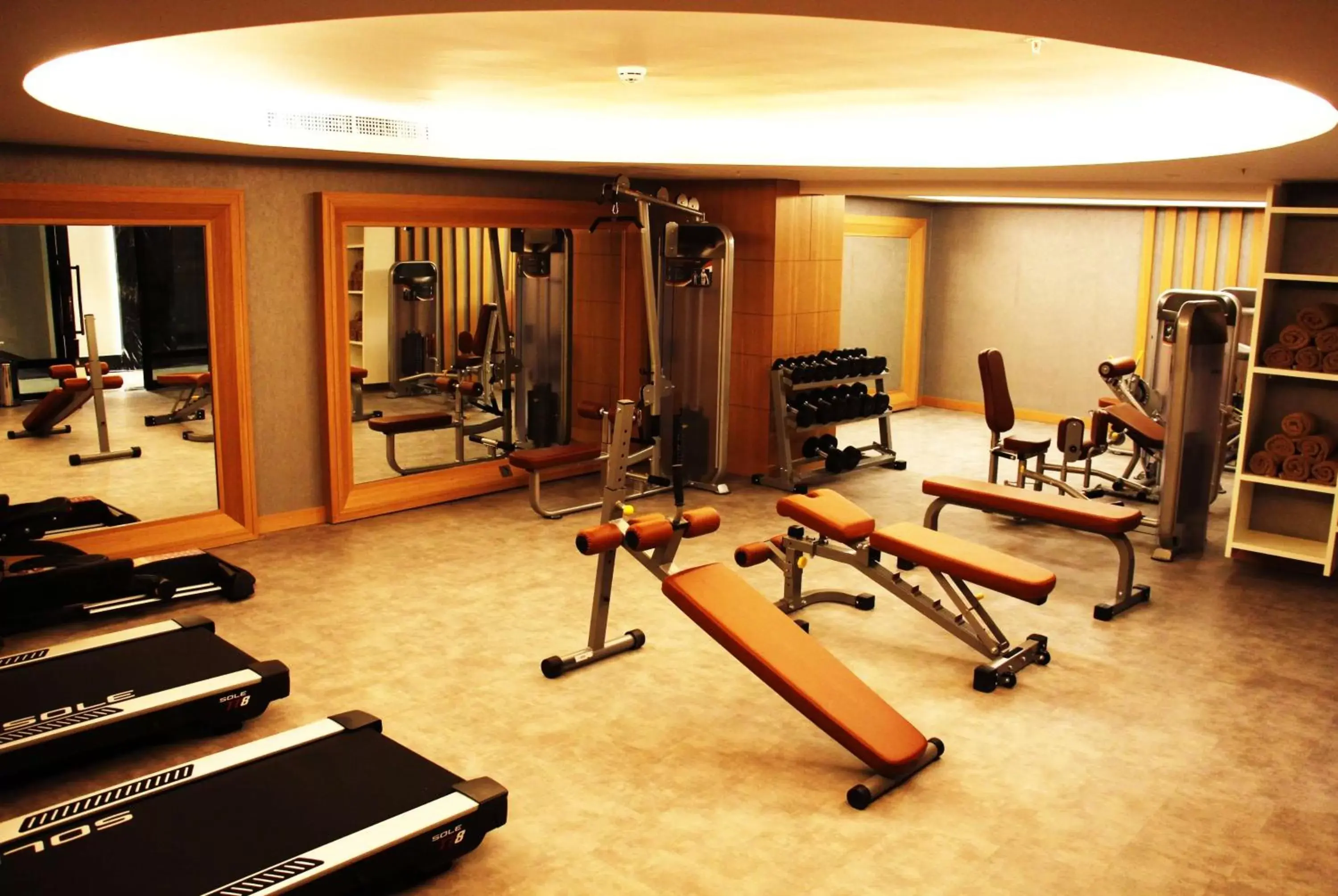 Fitness centre/facilities, Fitness Center/Facilities in Ramada by Wyndham Isparta