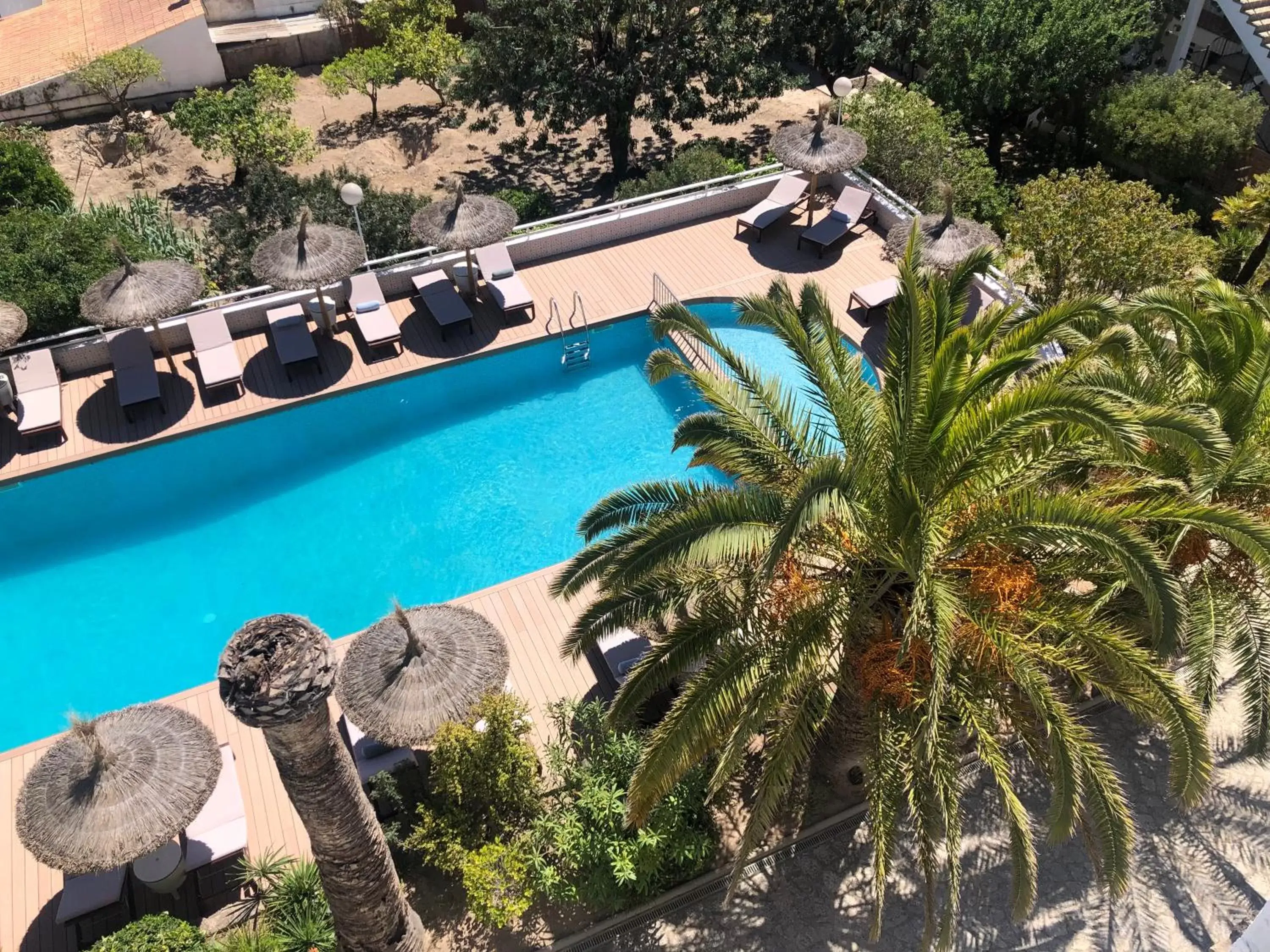 Pool View in Bella Colina I Vintage Hotel 1953