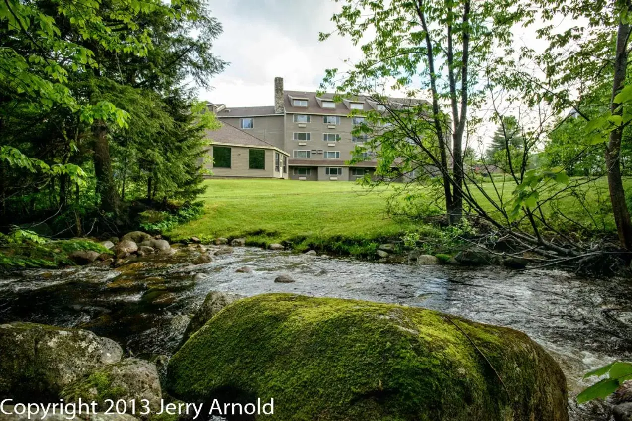 Natural landscape, Property Building in Snowy Owl Inn