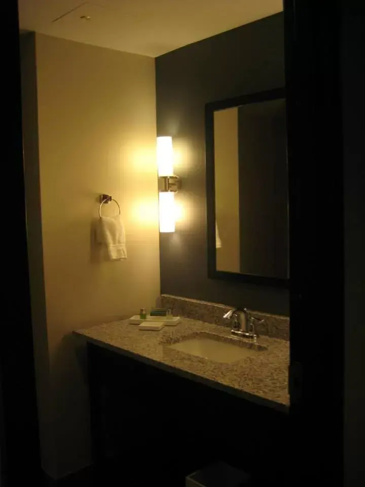 Bathroom in Kent State University Hotel and Conference Center