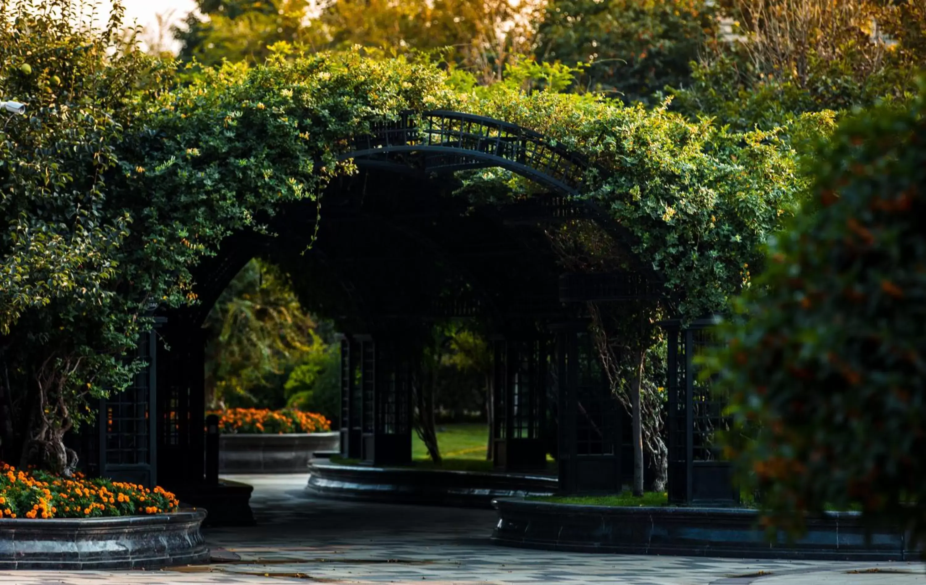 Garden view in Wyndham Qingdao