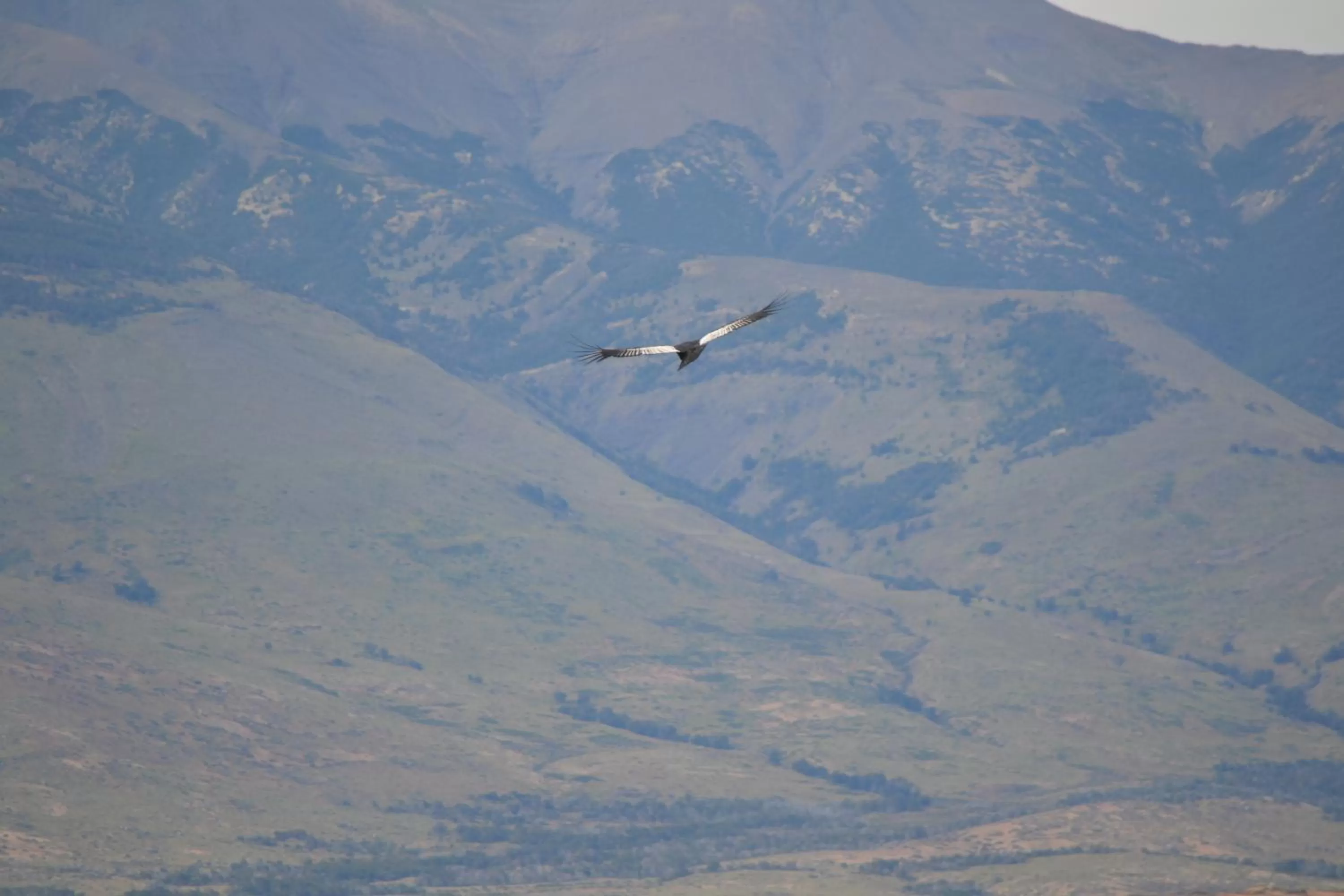 Day in MadreTierra Patagonia