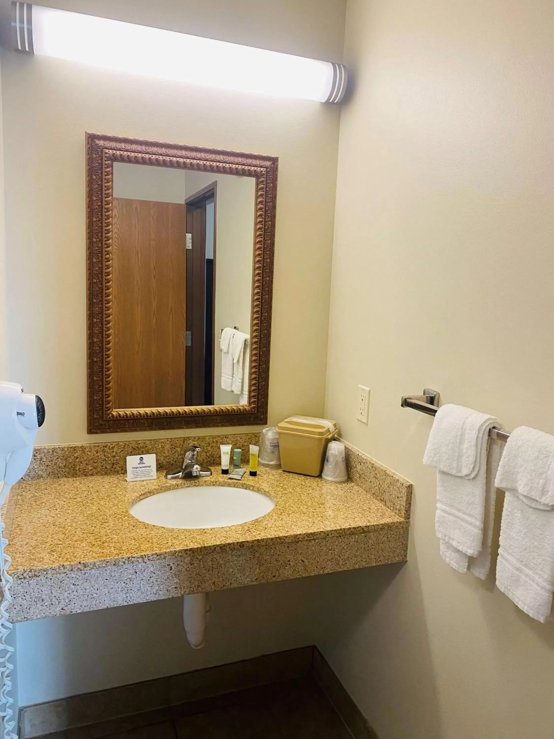Bathroom in Best Western Legacy Inn & Suites Beloit/South Beloit