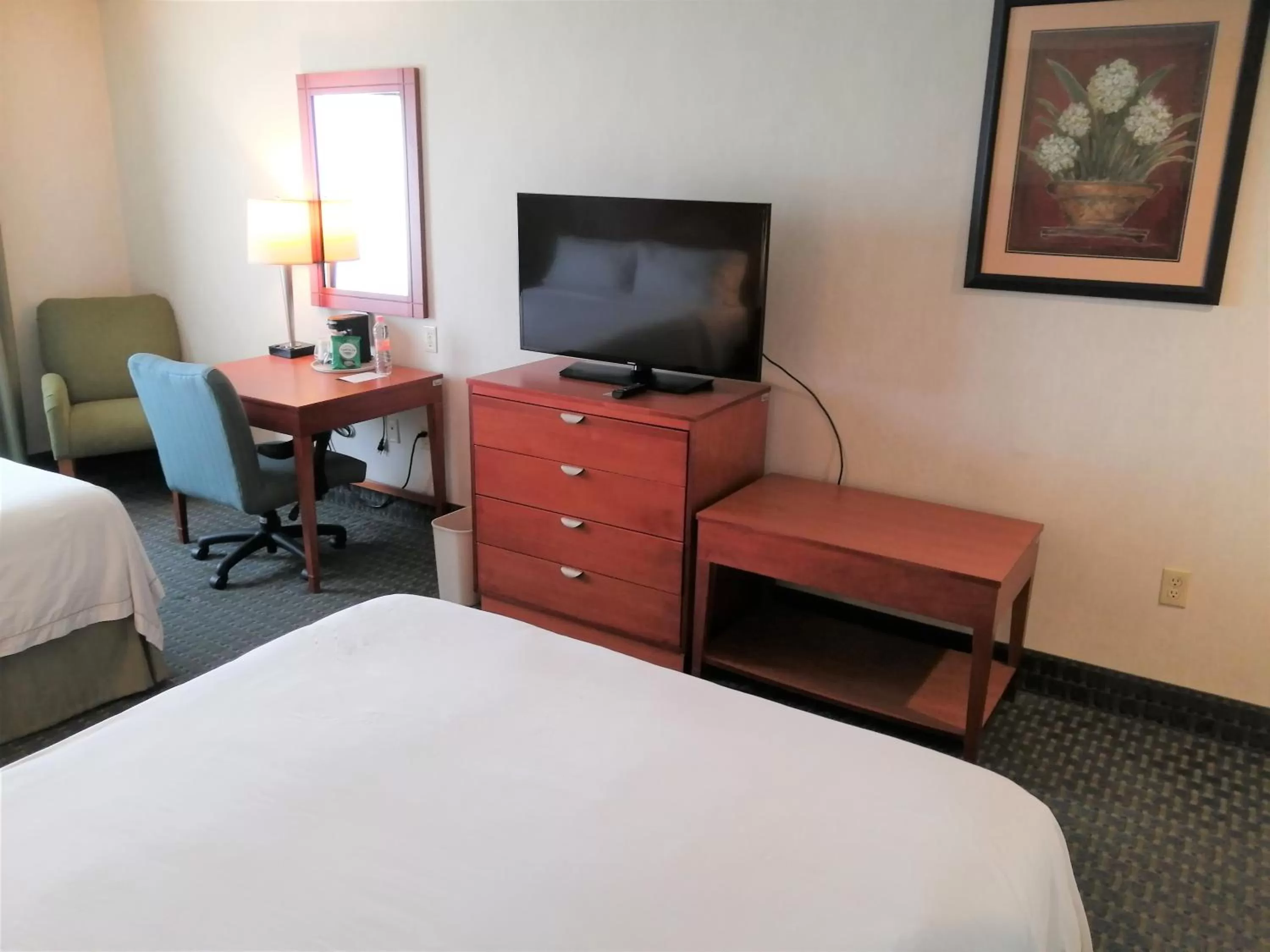 TV and multimedia, Bed in Holiday Inn Express & Suites Toluca Zona Aeropuerto by IHG