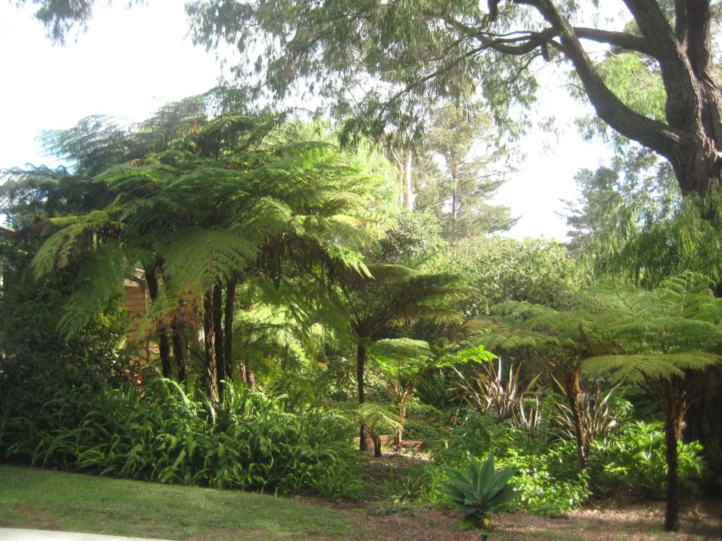 Garden in Edge Of The Forest Motel