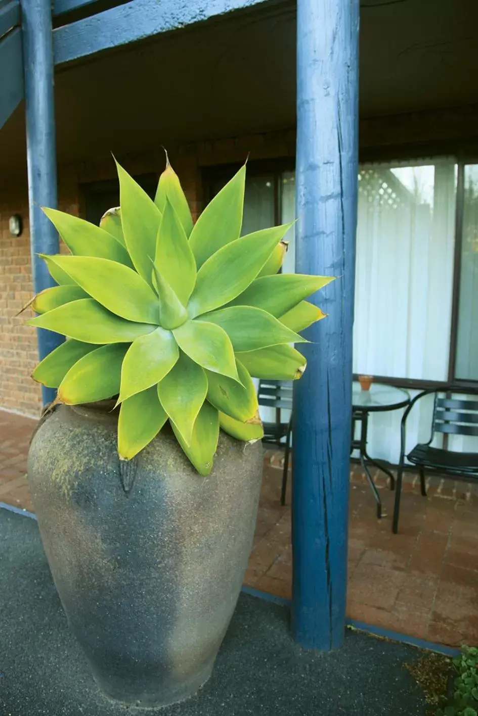 Garden in Admiral Motor Inn