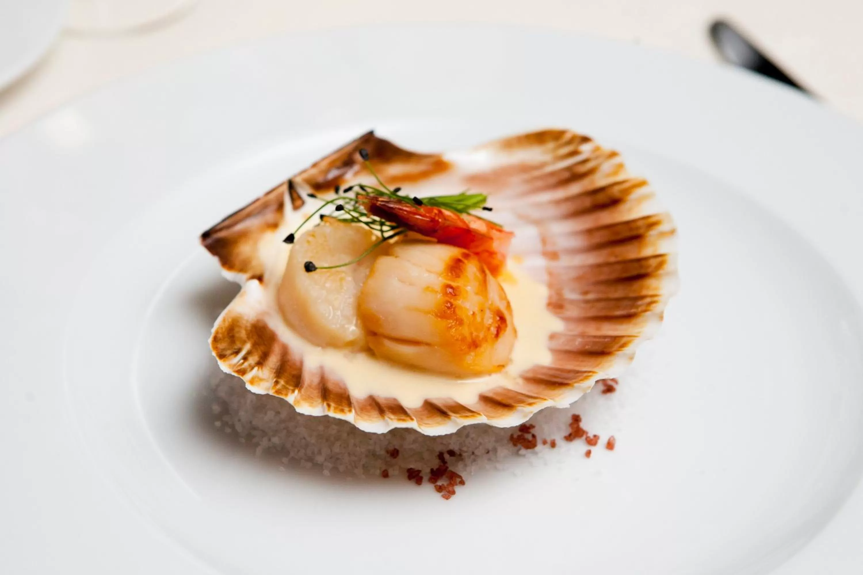 Restaurant/places to eat in VILNIUS PARK PLAZA HOTEL, Restaurant & Terrace, Panorama Bar, Conference & Banquet Center