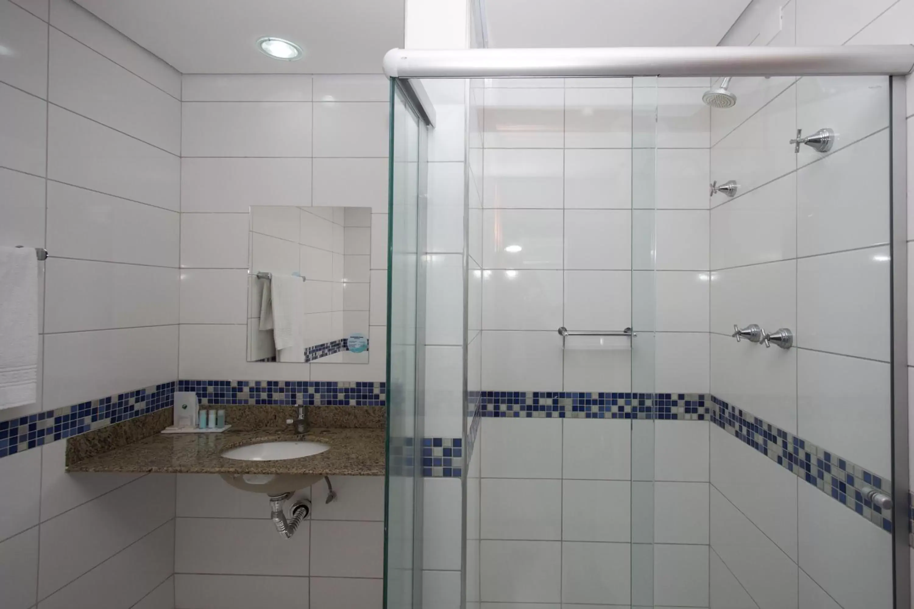 Shower, Bathroom in Bristol Exceler Campo Grande