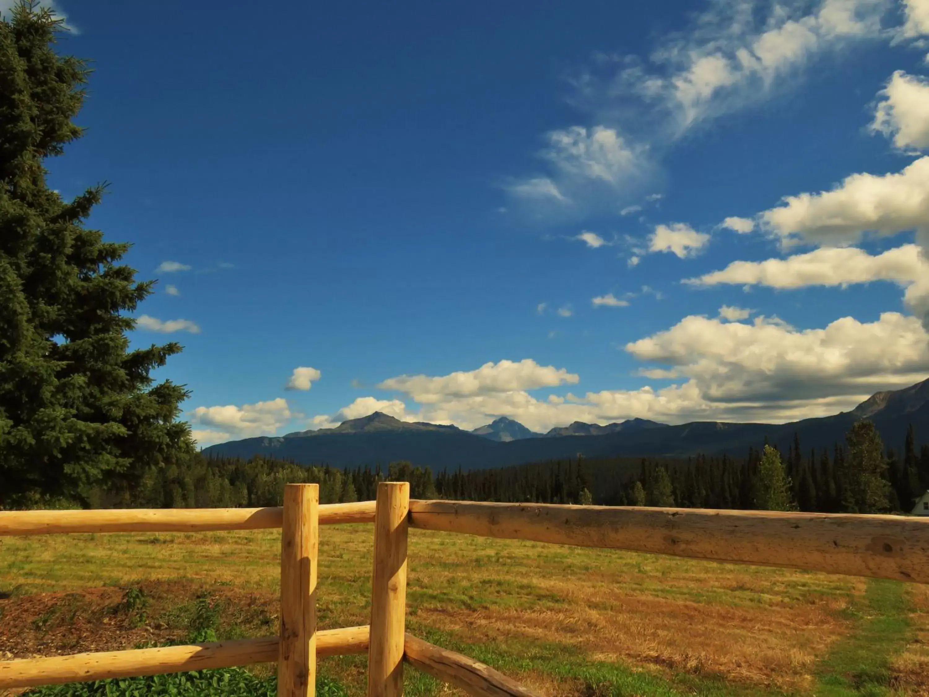 Mountain view, Garden in Rocky Ridge Resort-BC