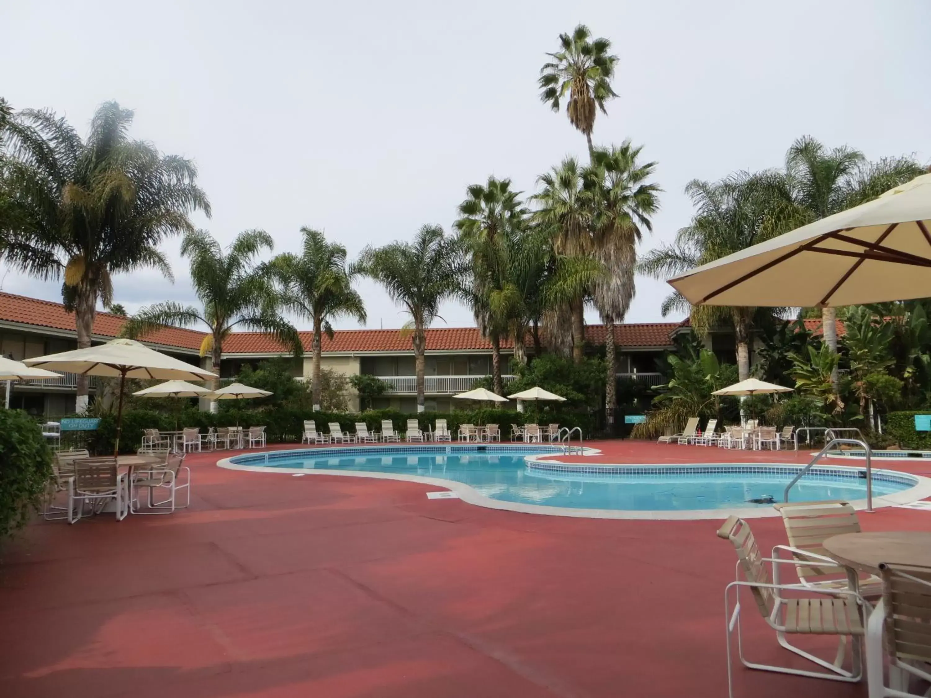 Swimming Pool in Wyndham Garden San Jose Airport