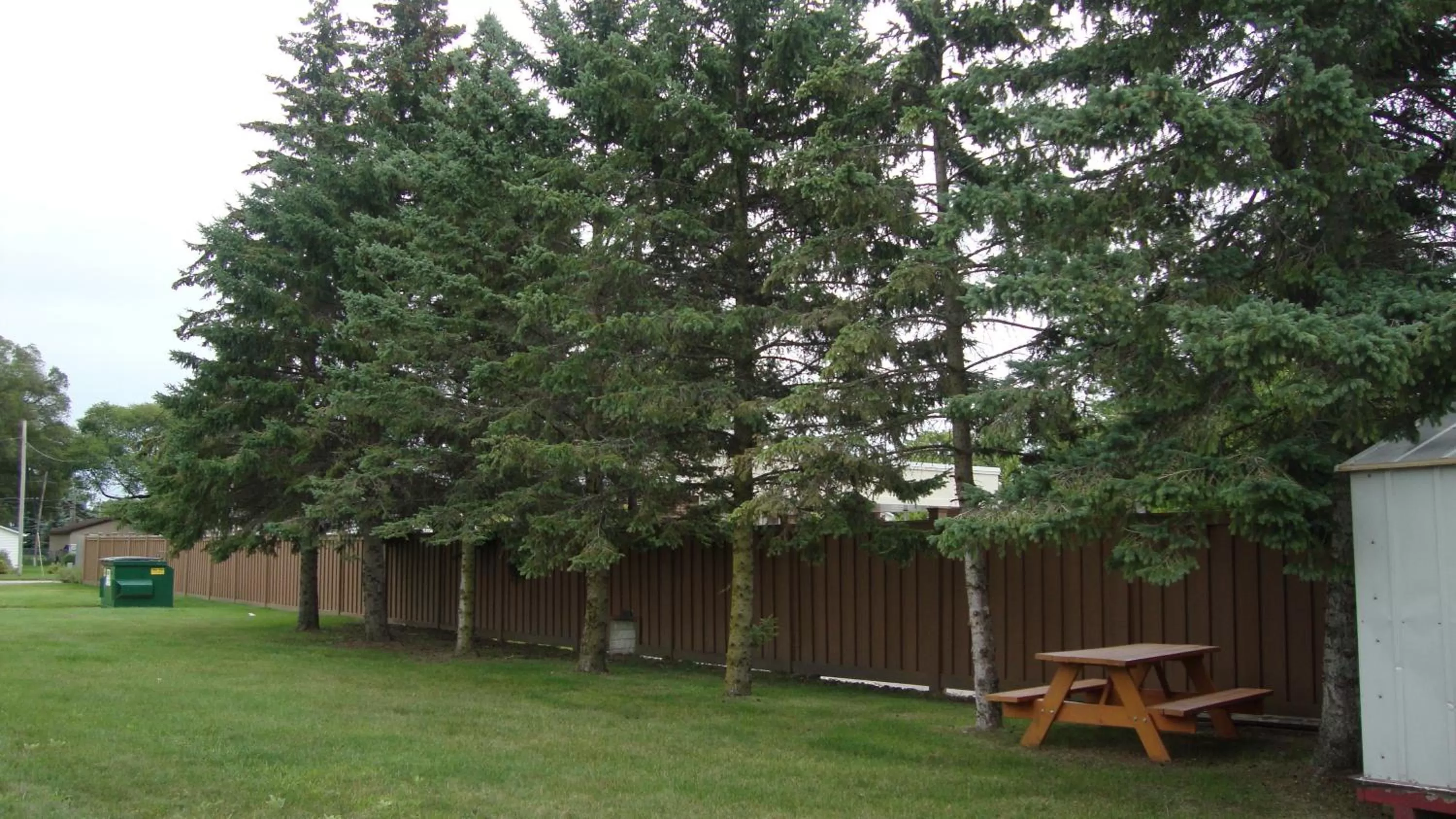 Area and facilities in Pinconning Trail Inn Motel