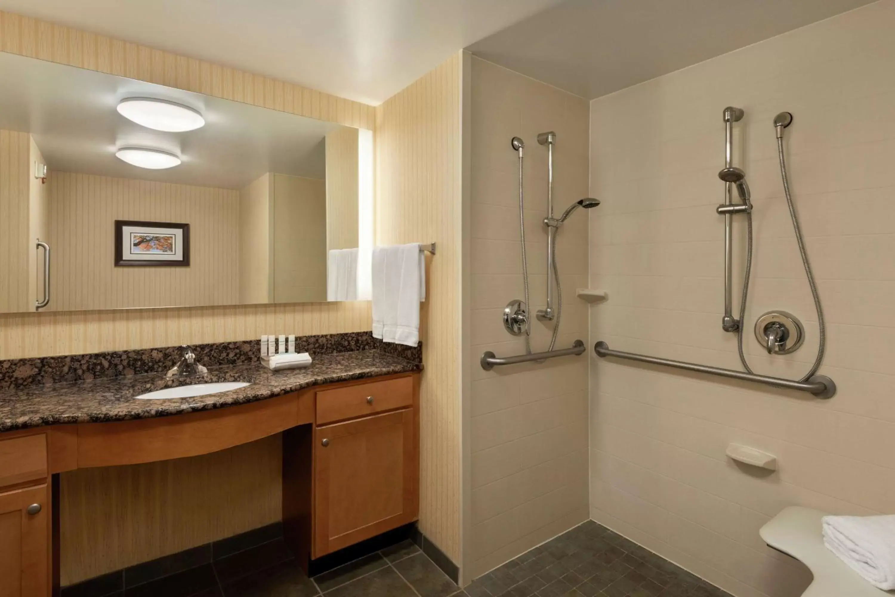 Bathroom in Homewood Suites by Hilton Allentown-West/Fogelsville