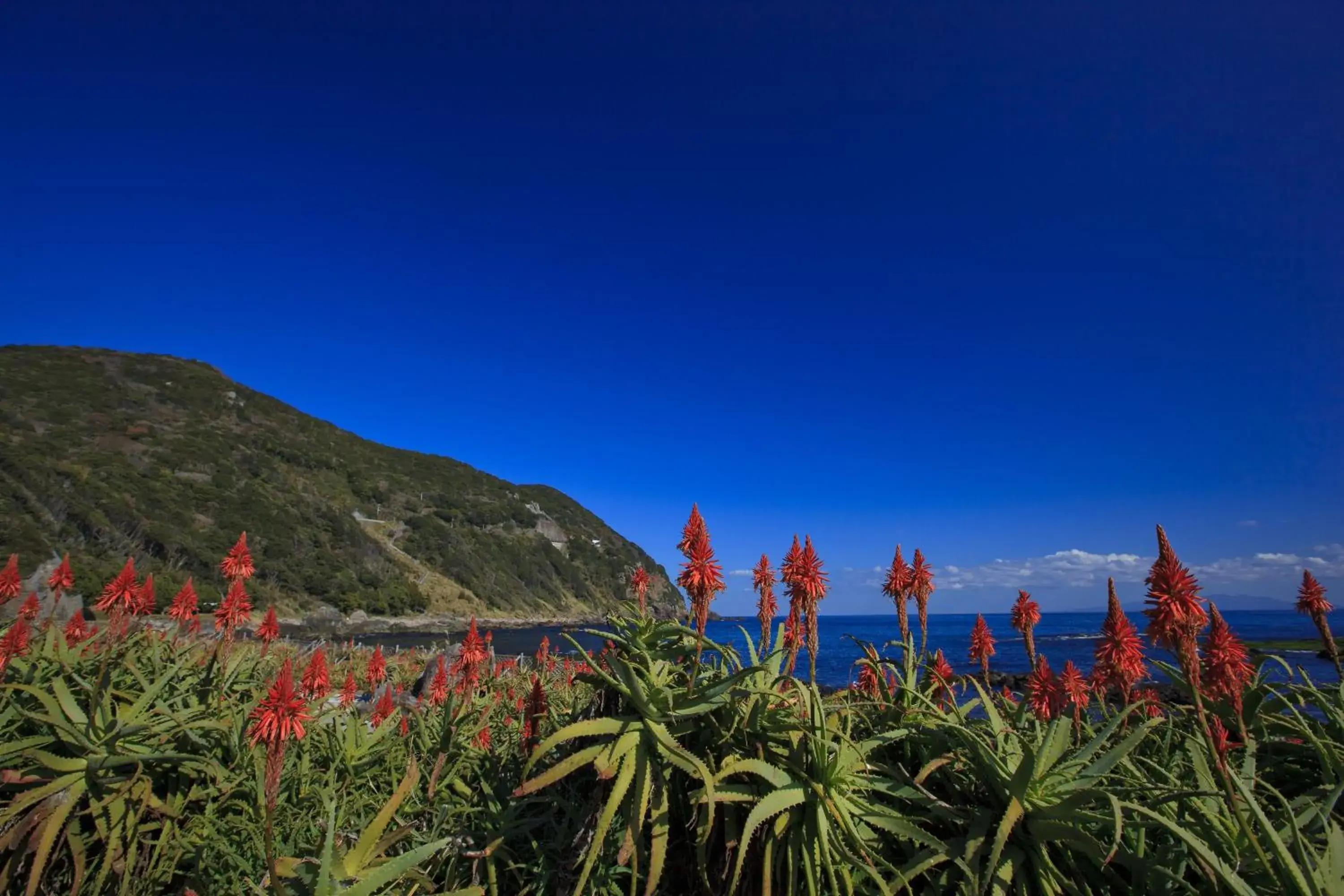 Seasons in Shimoda Prince Hotel