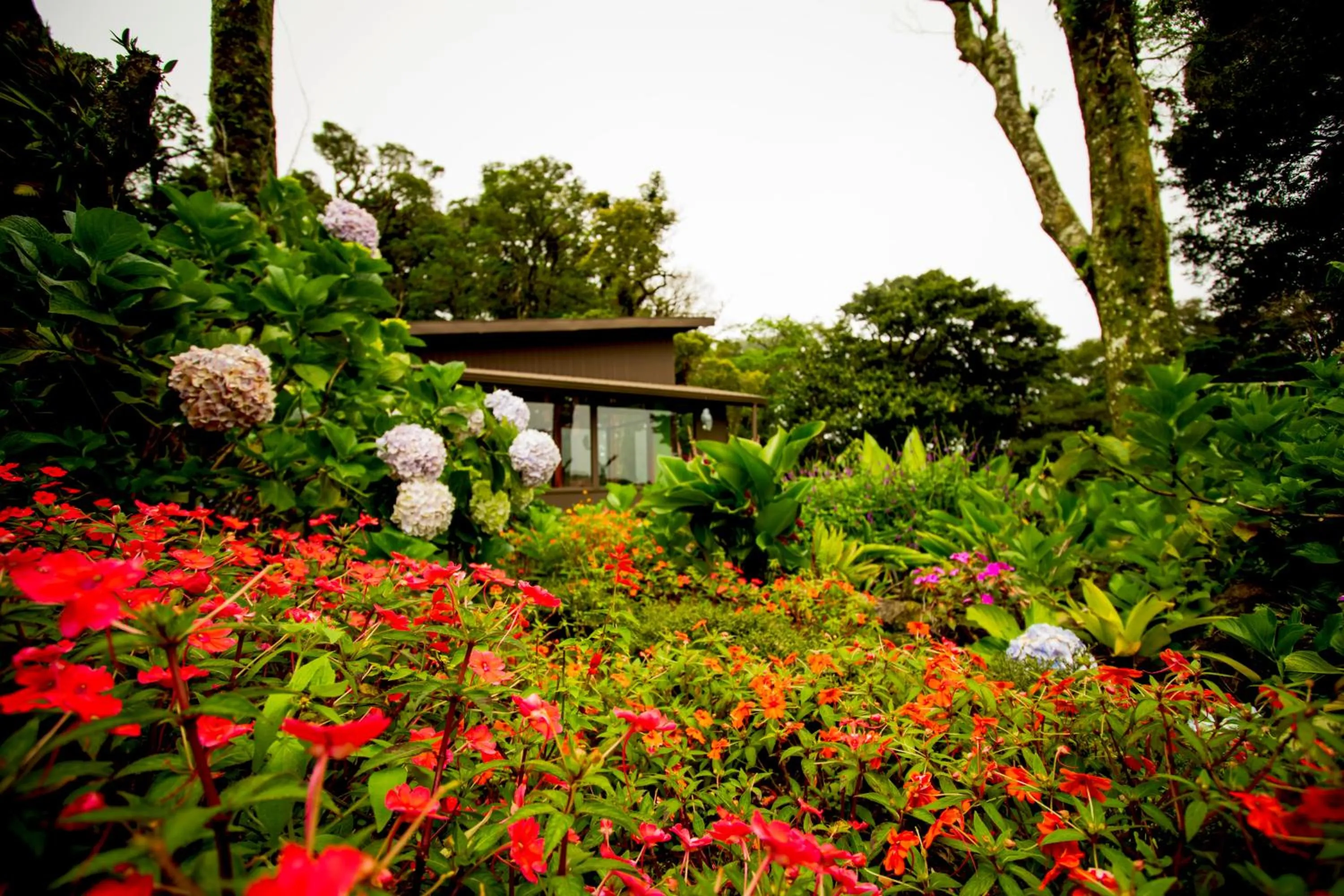 Area and facilities in Trapp Family Lodge Monteverde