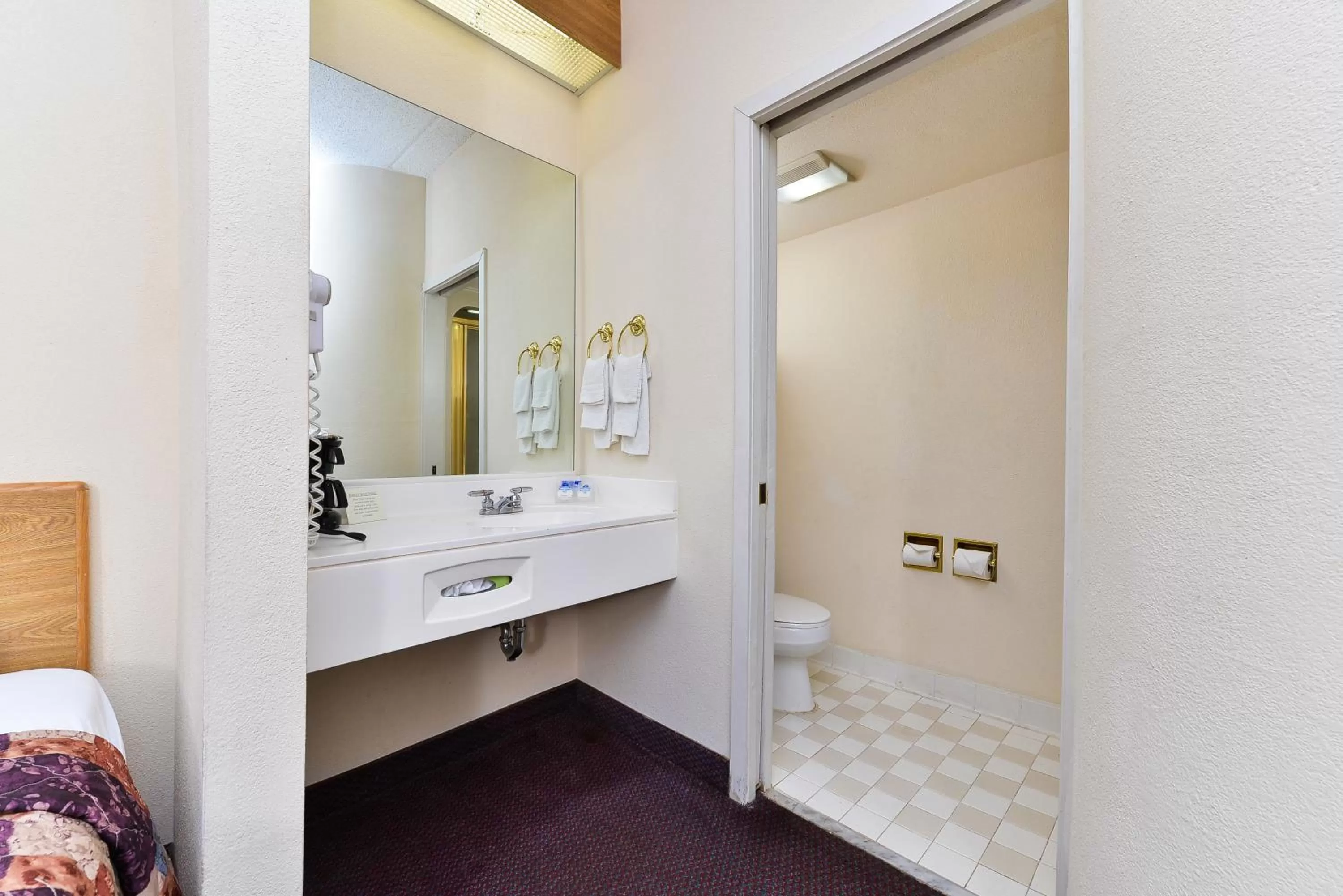 Pets in America's Best Value Inn & Suites, Atlanta - Morrow